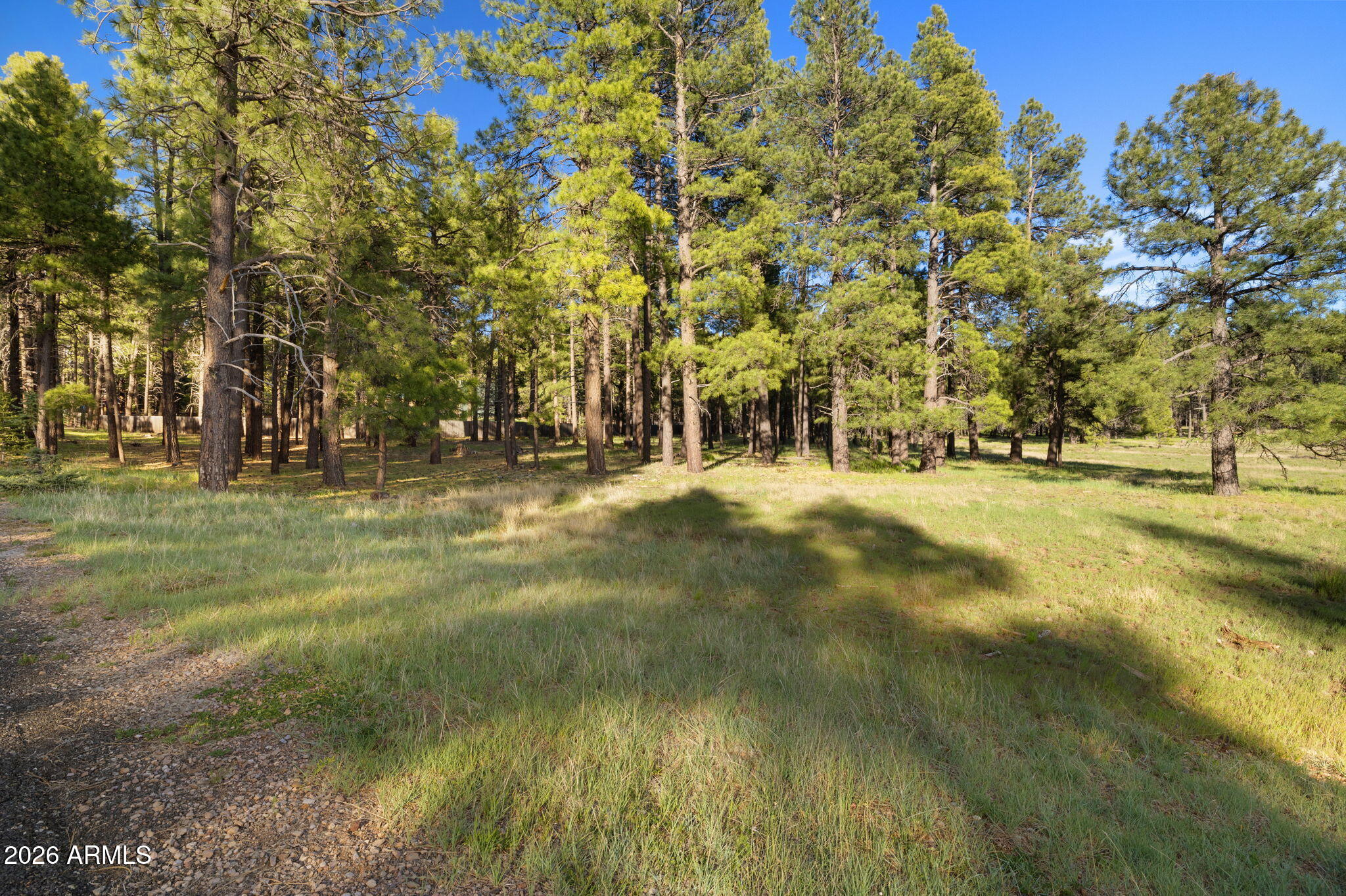 FOXBORO RANCH ESTATES - Land