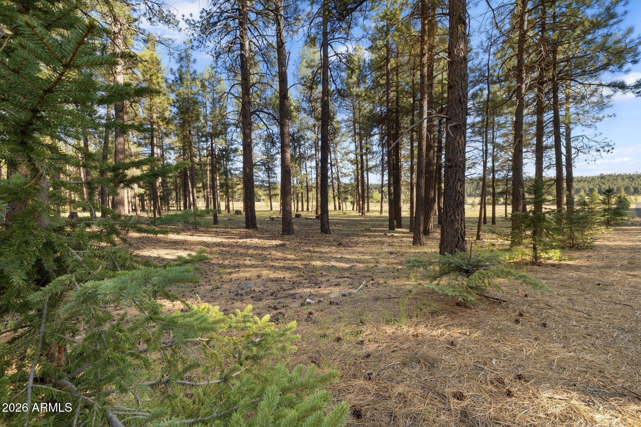 FOXBORO RANCH ESTATES - Land