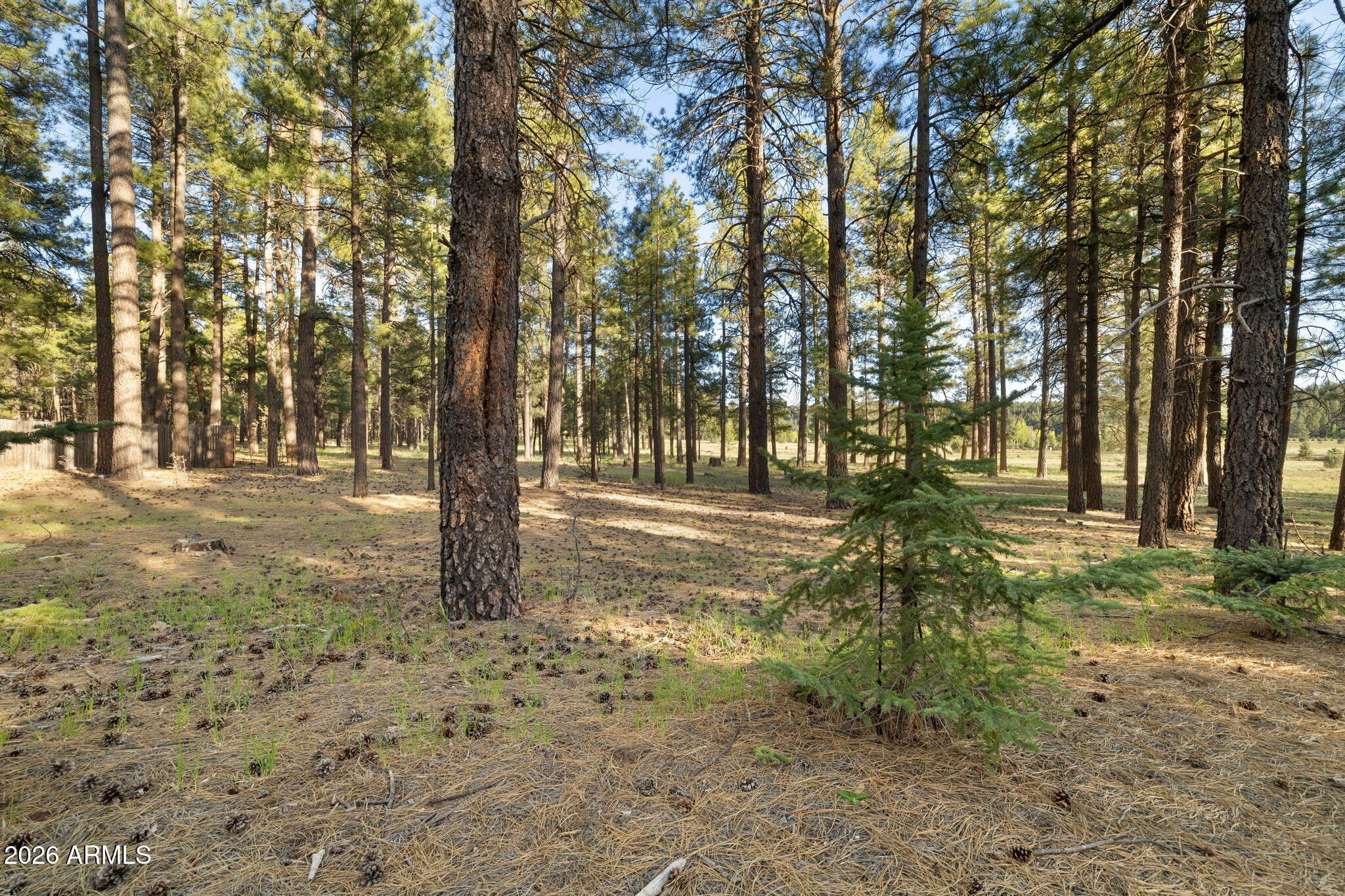 FOXBORO RANCH ESTATES - Land