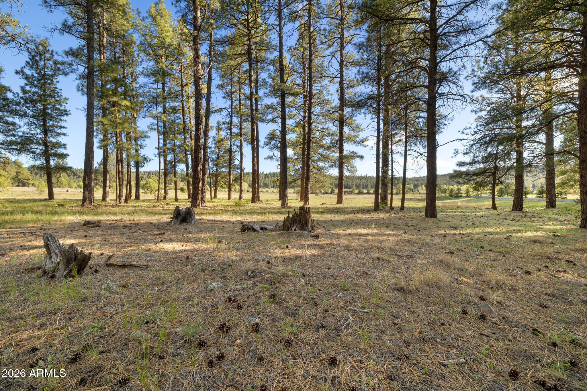 FOXBORO RANCH ESTATES - Land