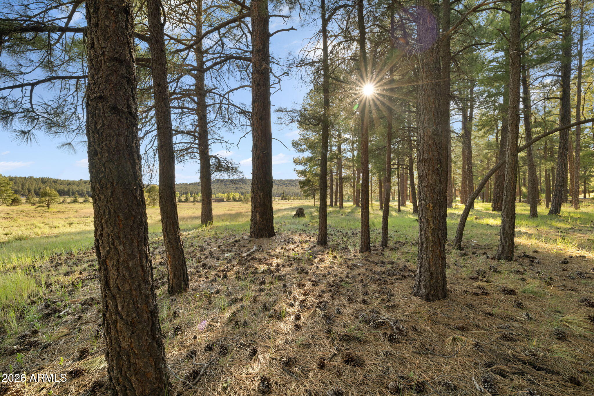 FOXBORO RANCH ESTATES - Land