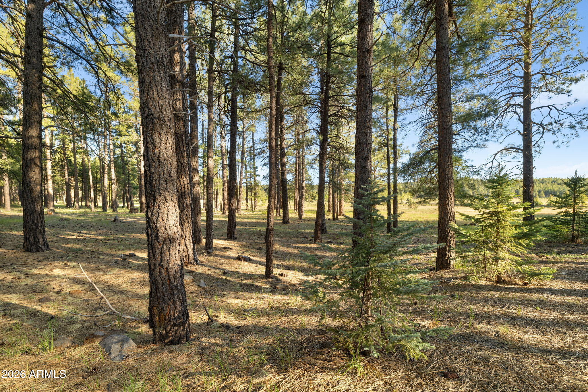 FOXBORO RANCH ESTATES - Land