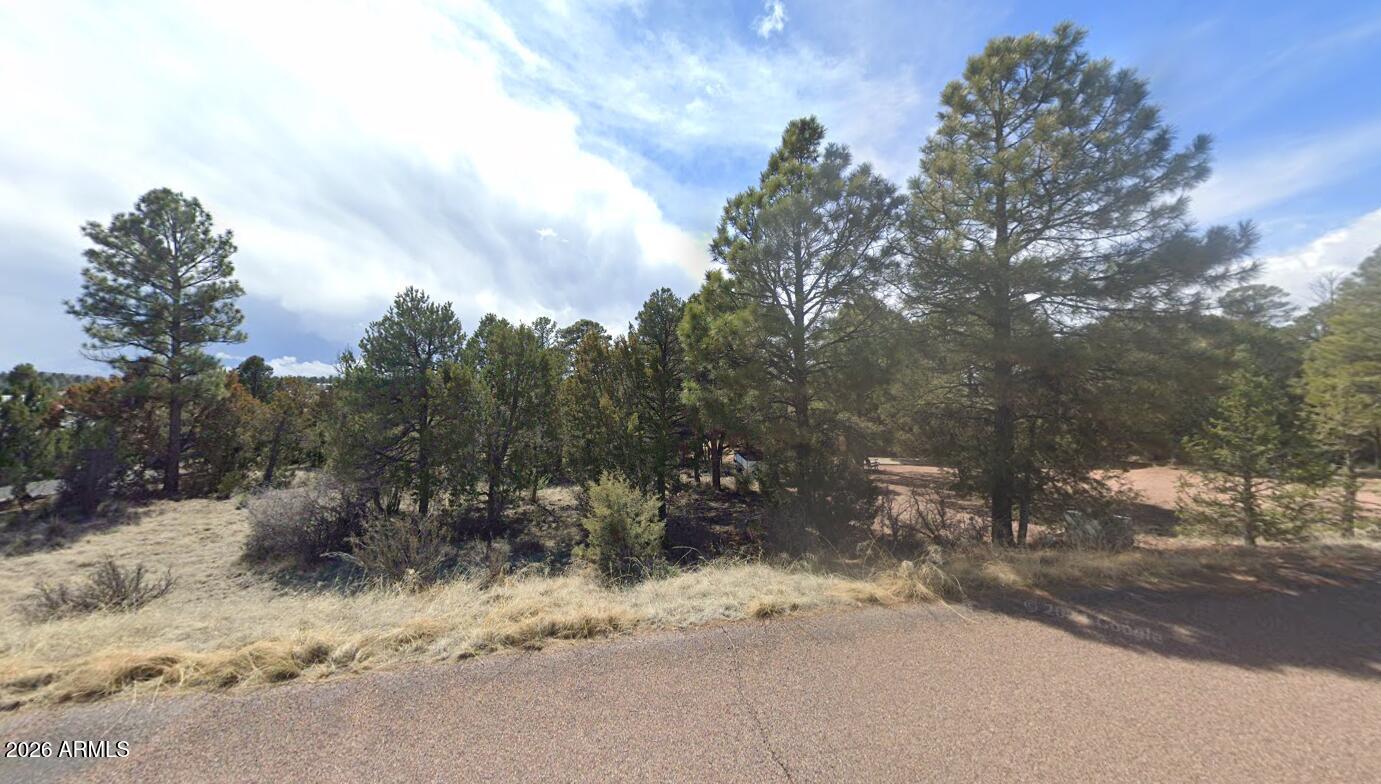 Very rare opportunity to buy a lot that is connected to sewer.  Nicely pine tree covered lot.  All underground utilities.  Homes only neighborhood with CC&R's to protect your investment.  Open space to the back of the property with no neighbors.  Paved roads in a mostly built out community.  seller may carry. Come see this beautiful lot today.