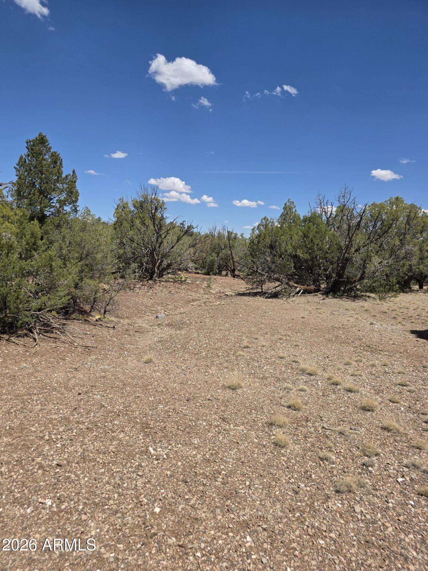 SIERRA VERDE RANCH UNIT 16 - Land