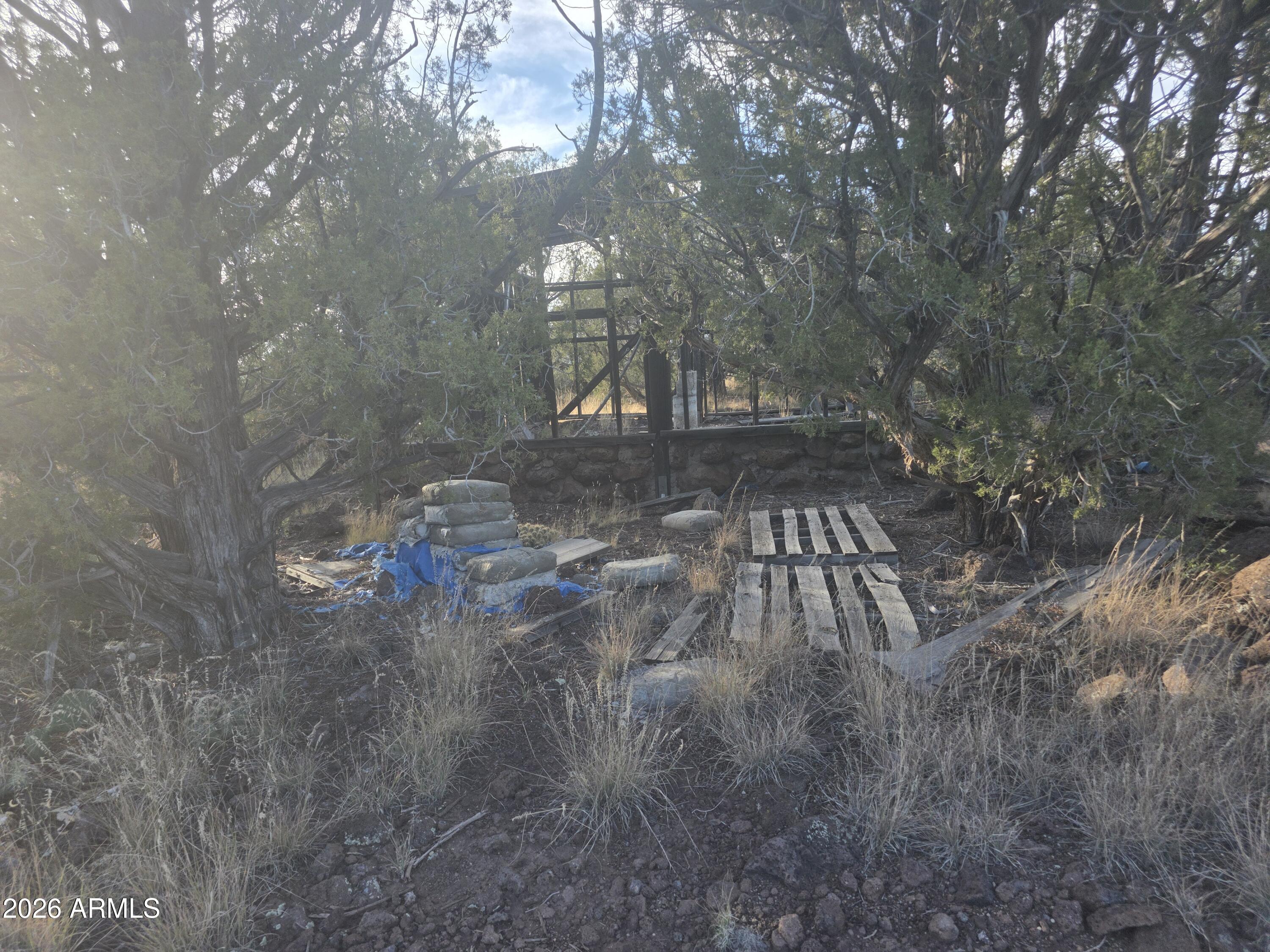SIERRA VERDE RANCH UNIT 16 - Land