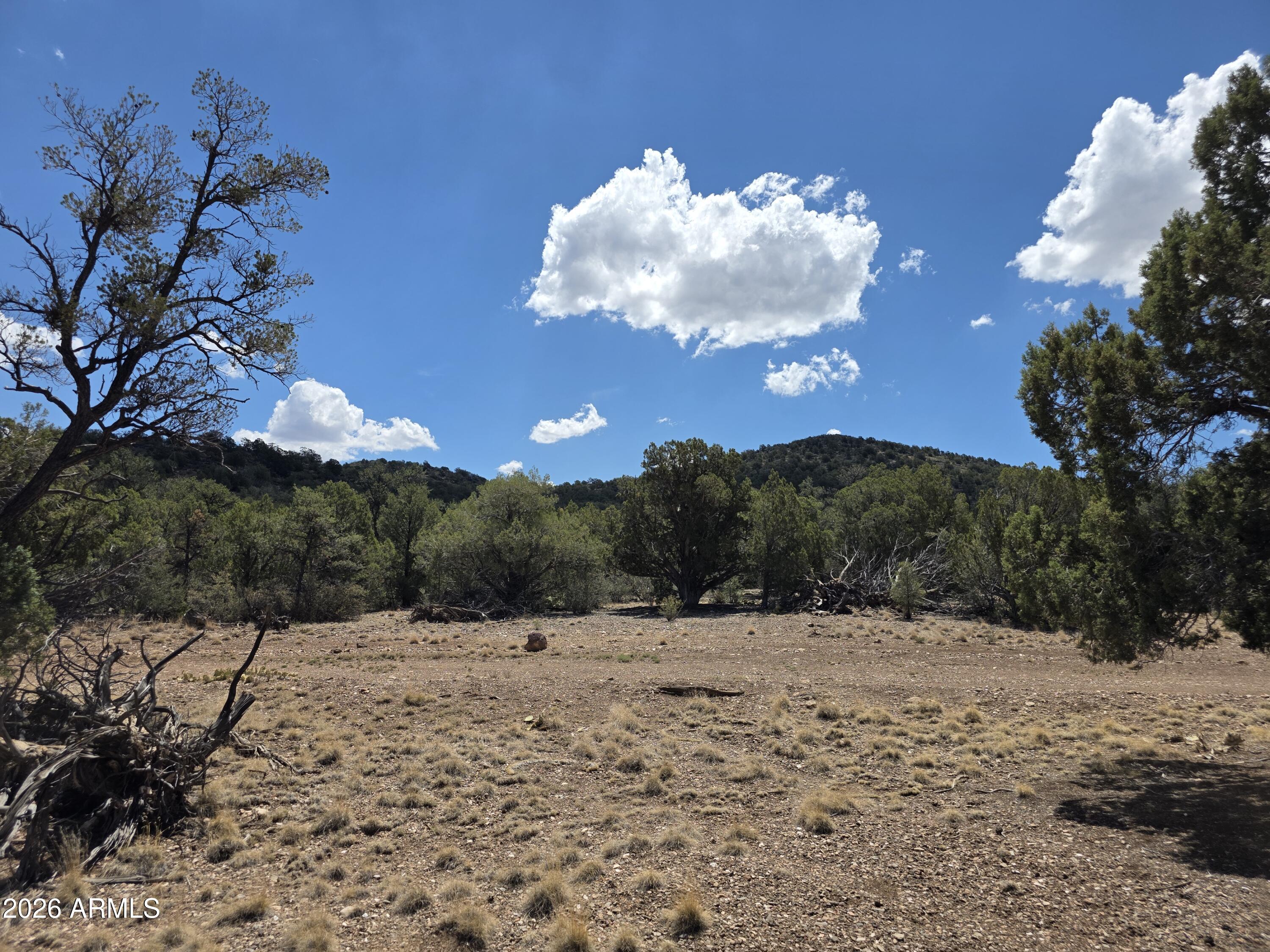 SIERRA VERDE RANCH UNIT 16 - Land