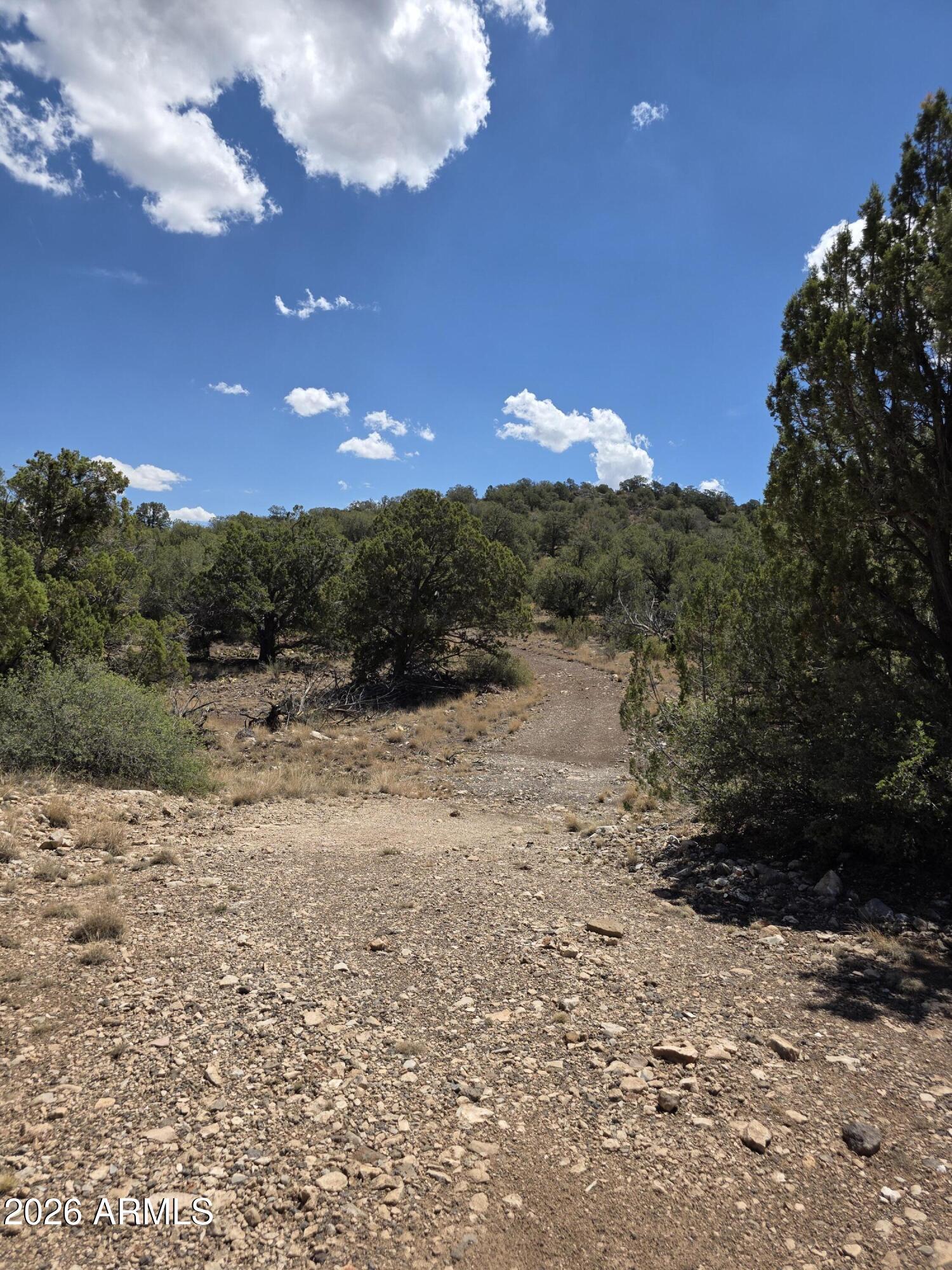 SIERRA VERDE RANCH UNIT 16 - Land