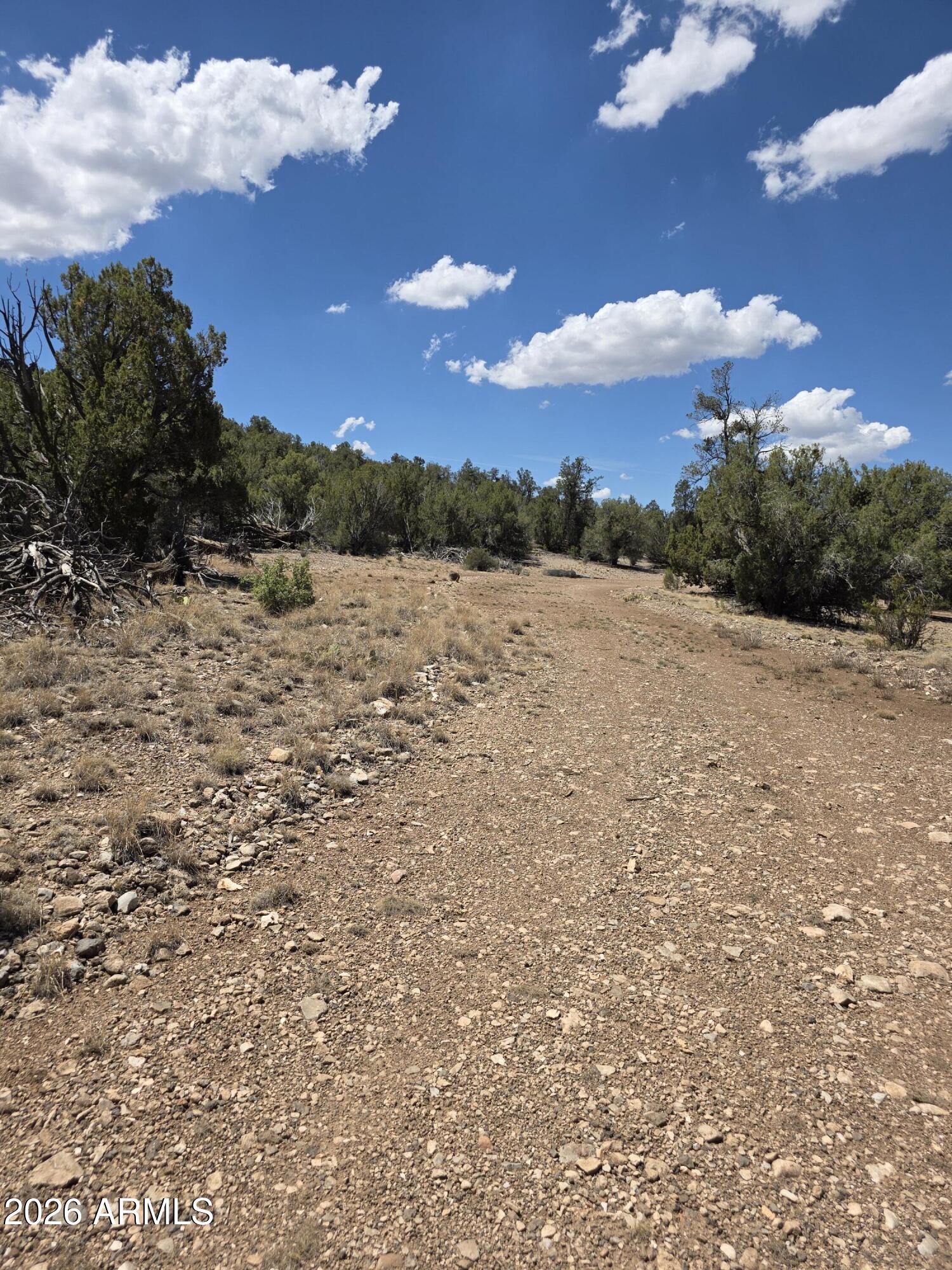 SIERRA VERDE RANCH UNIT 16 - Land