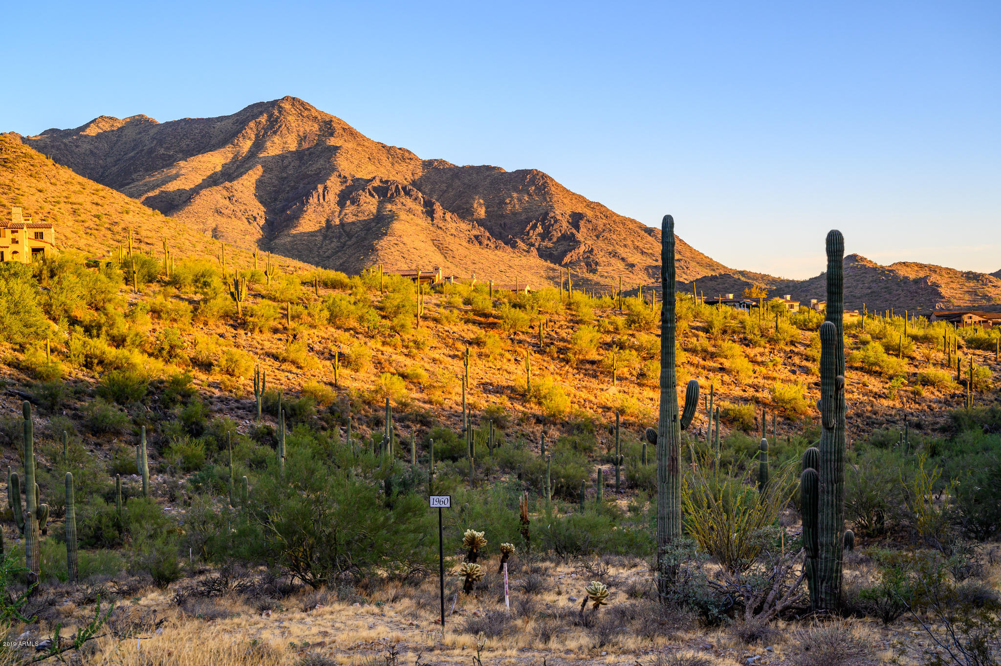 Silverleaf at DC Ranch - Residential