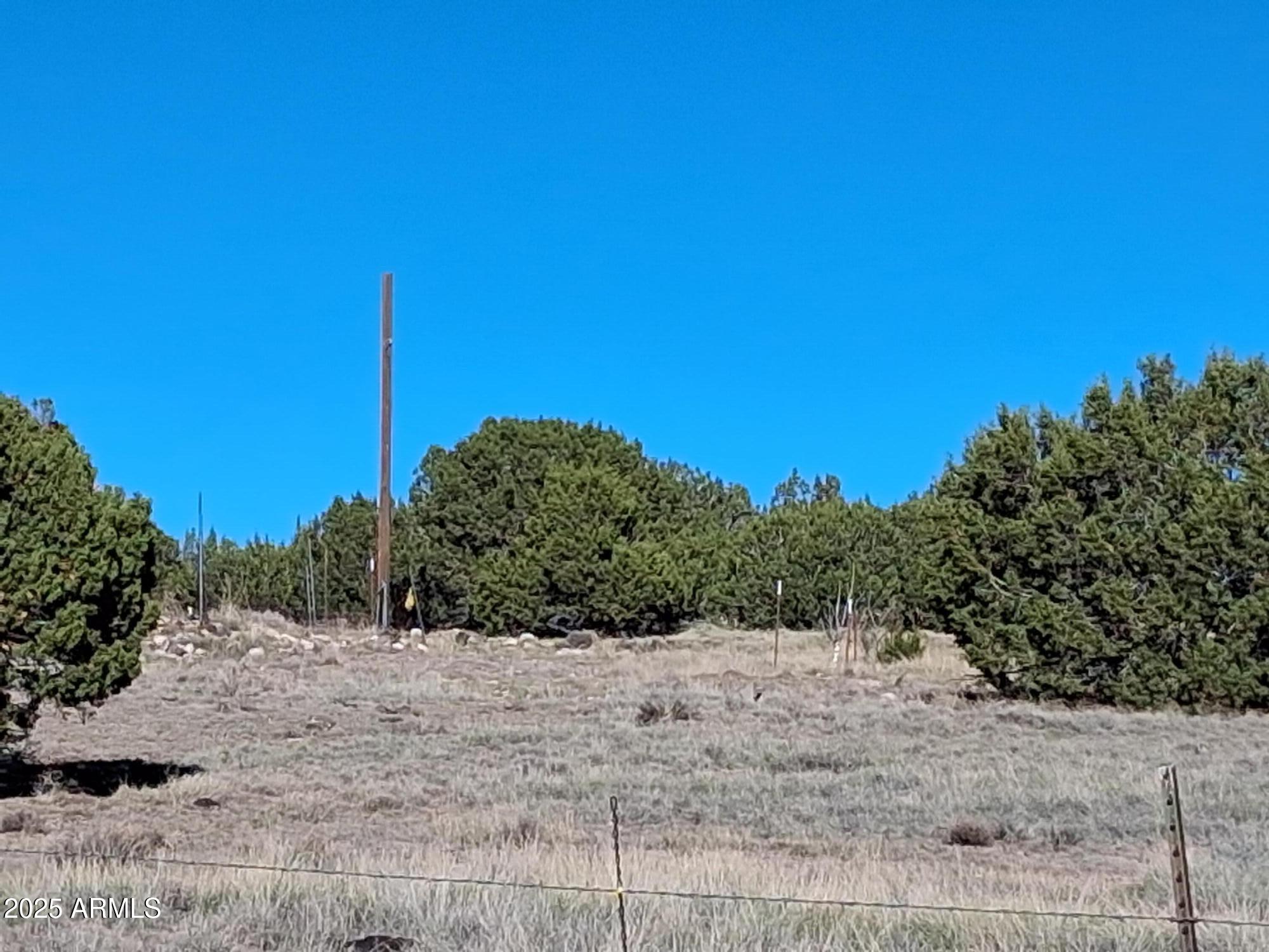 TAMARRON RANCH UNIT 9 - Land