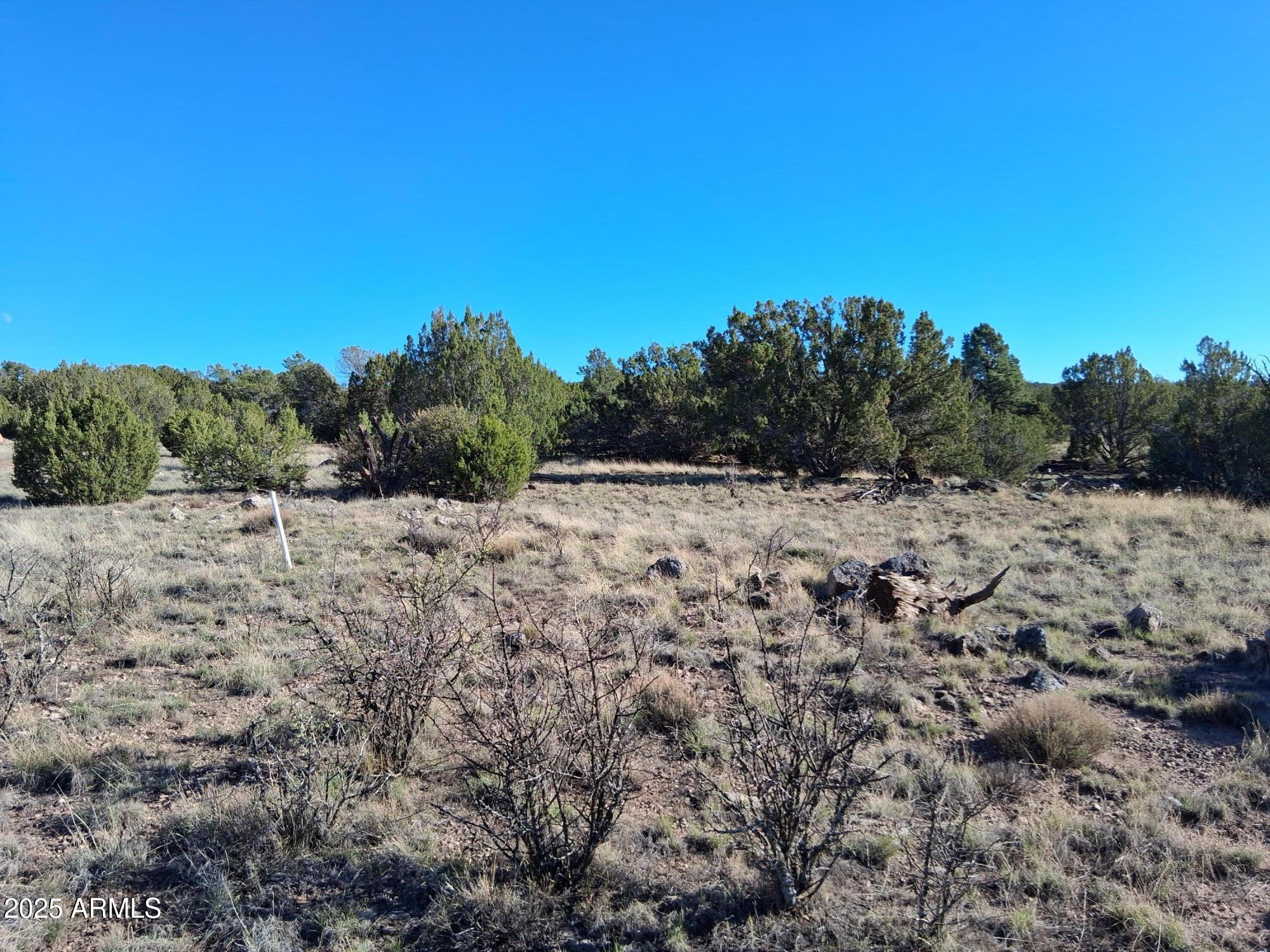 TAMARRON RANCH UNIT 9 - Land