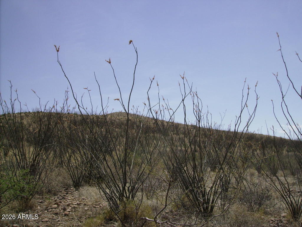 PERILLA MOUNTAIN RANCH UNIT 5 - Land