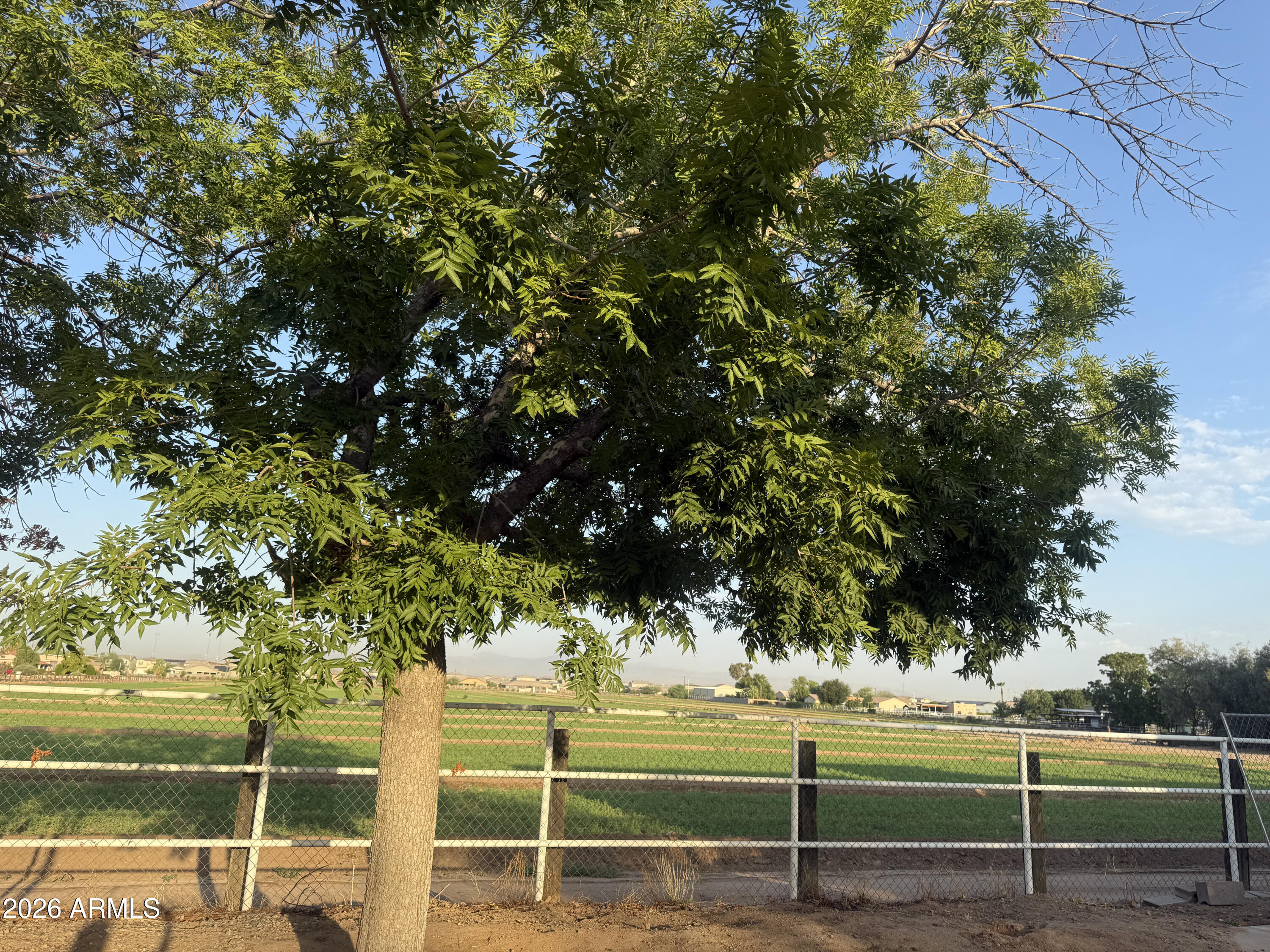 THOROUGHBRED FARMS LOT 1-8 - Residential