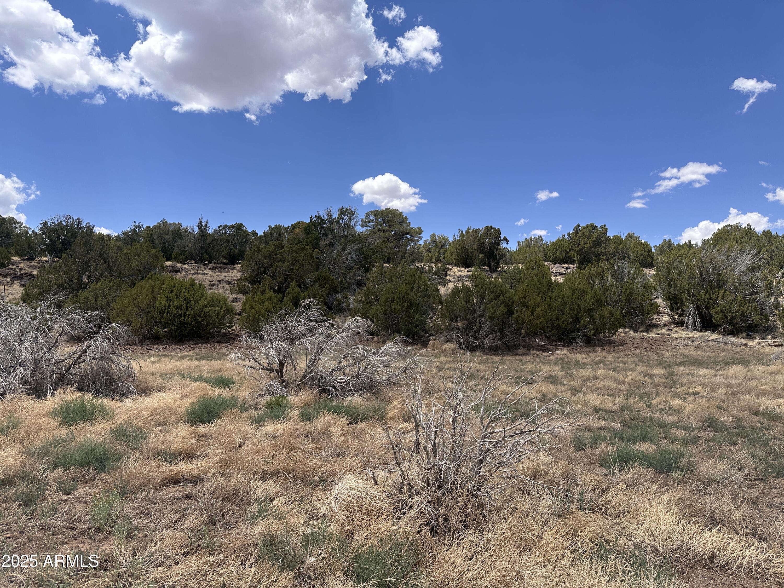 SHOW LOW PINES UNIT 4 - Land