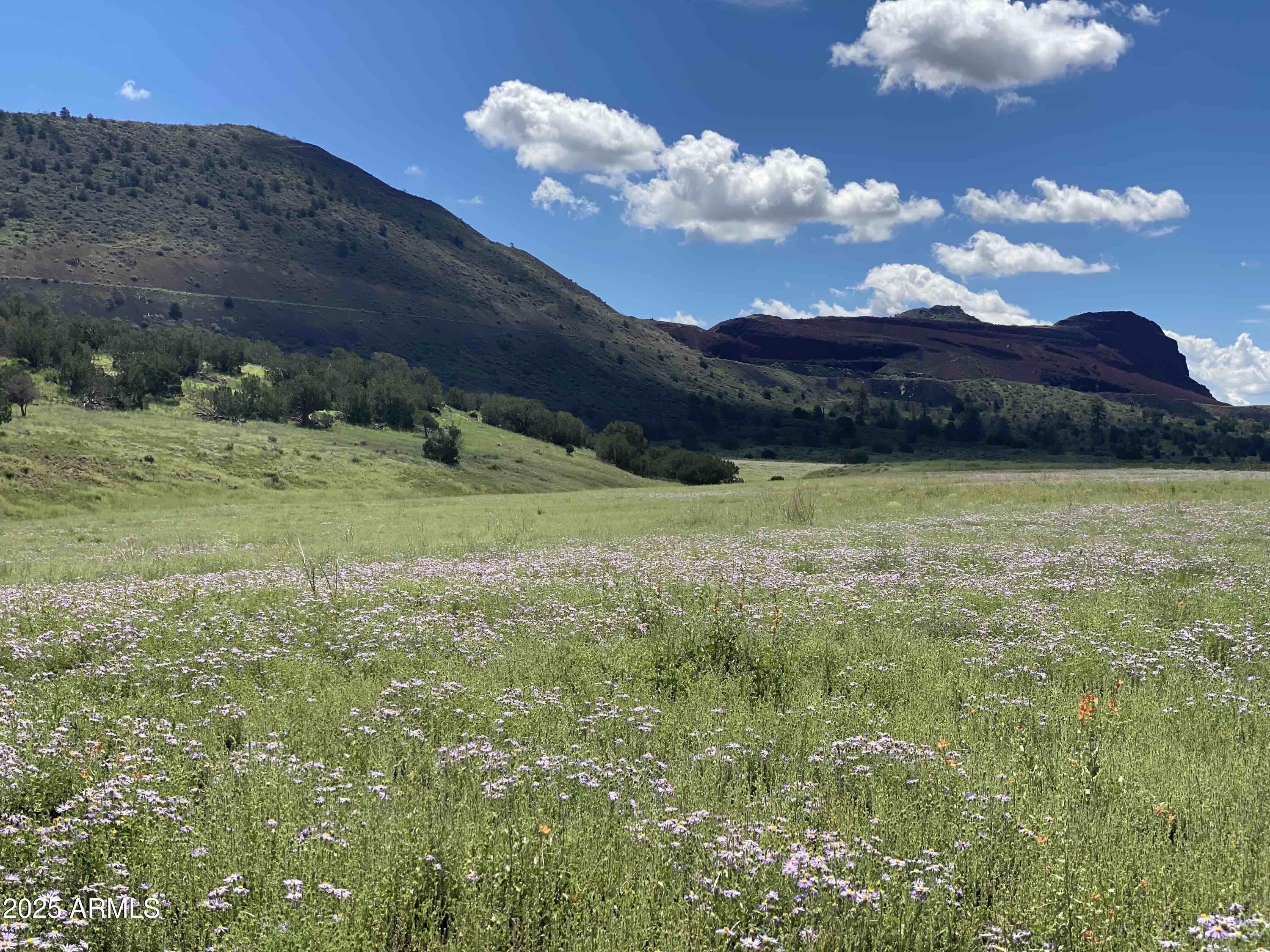 Walnut Creek Meadows - Residential