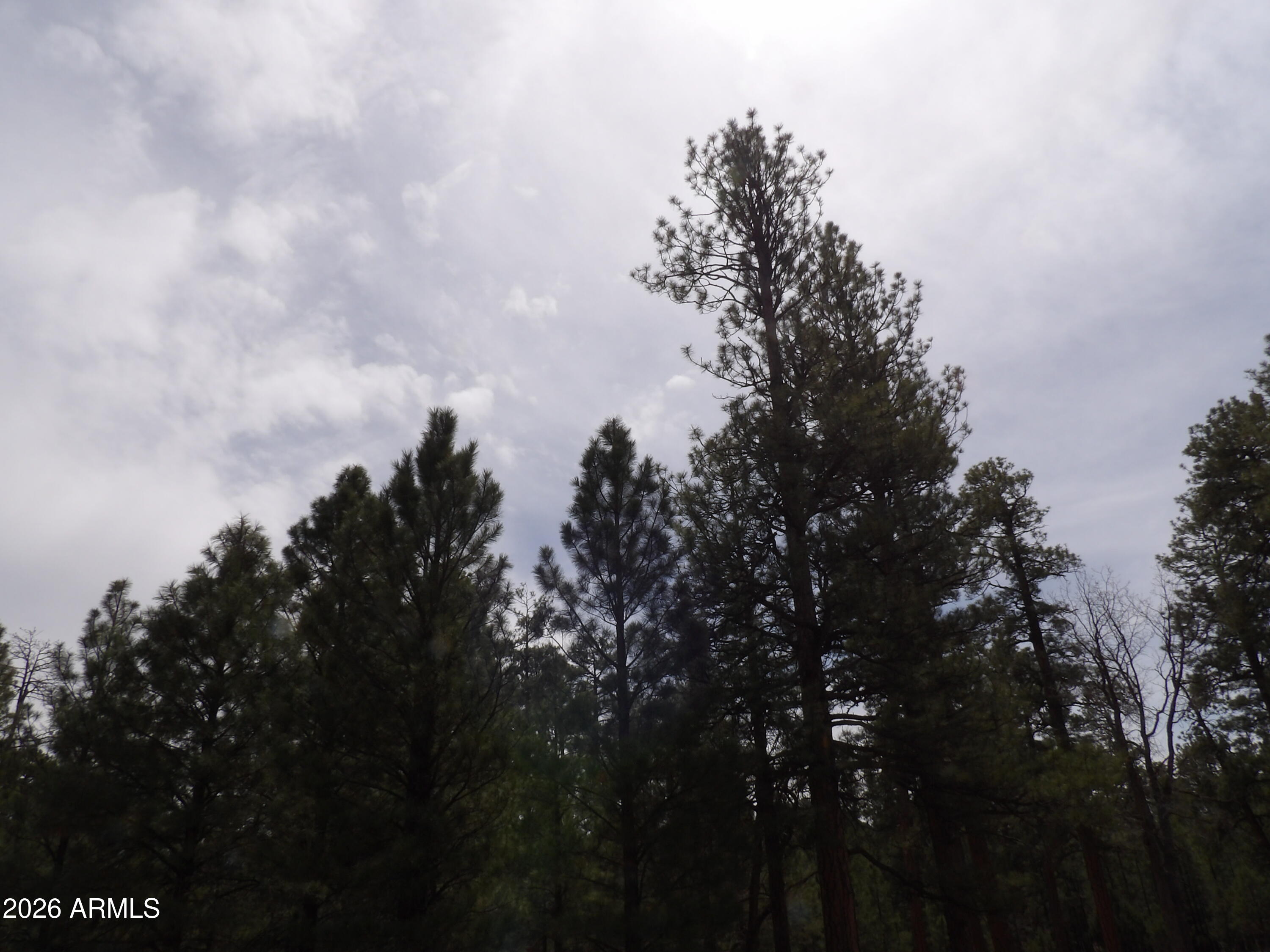 PINE CANYON 3 - Land
