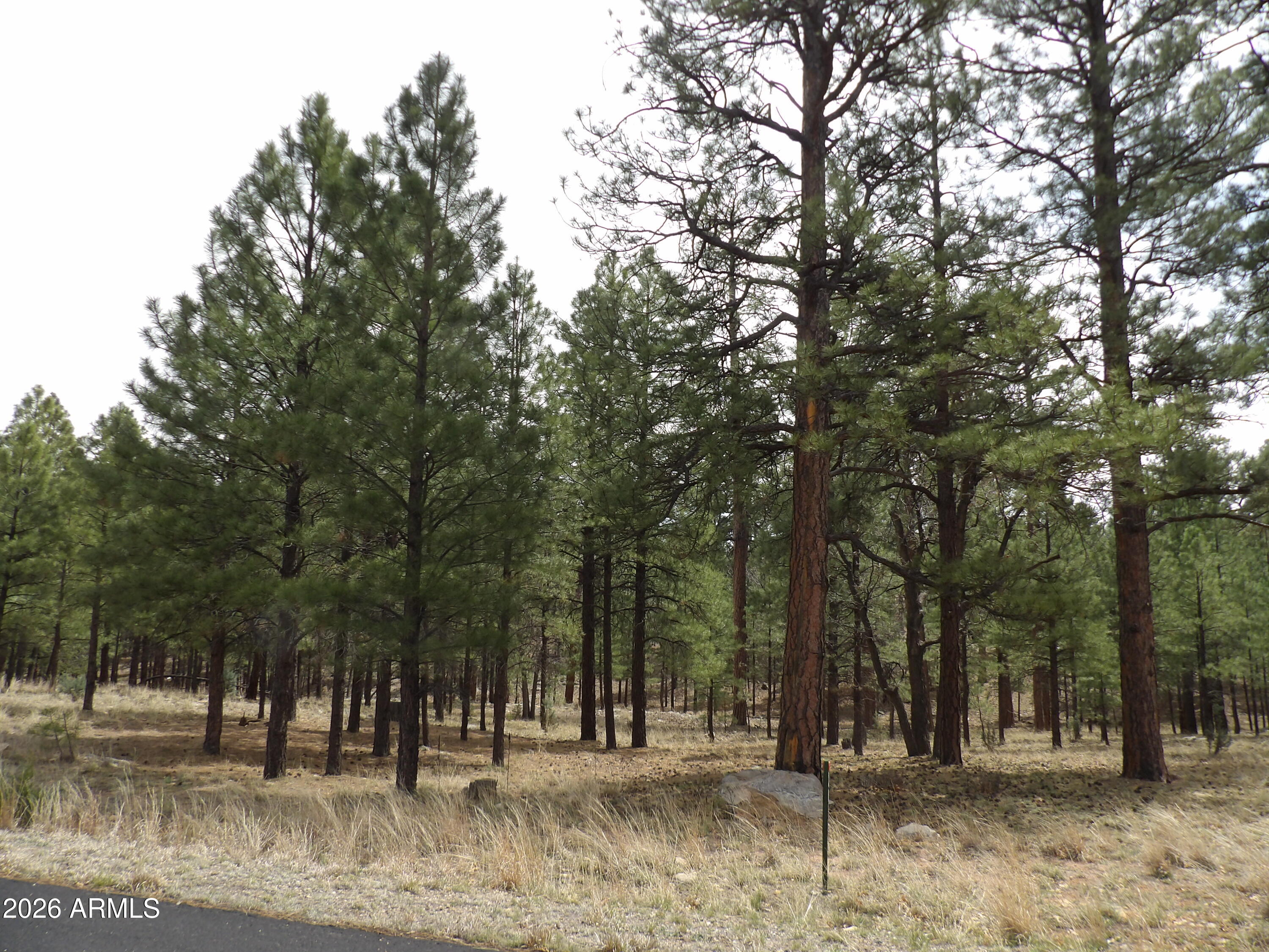 PINE CANYON 3 - Land