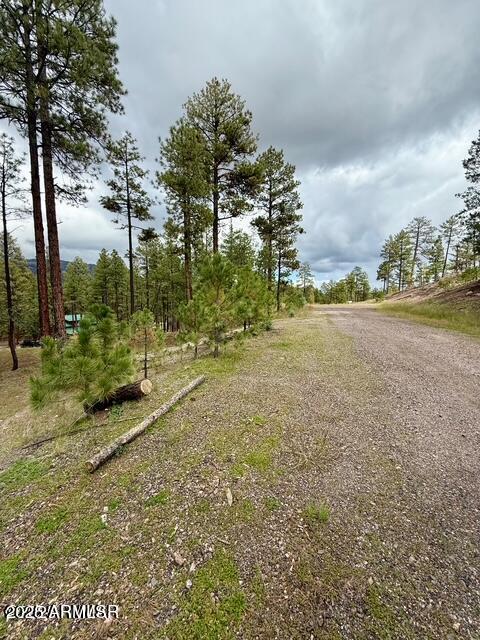 ALPINE FOREST ESTATES - Land