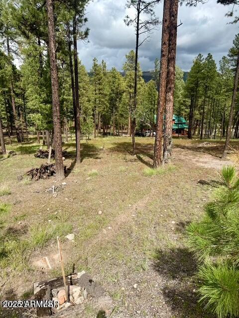 ALPINE FOREST ESTATES - Land