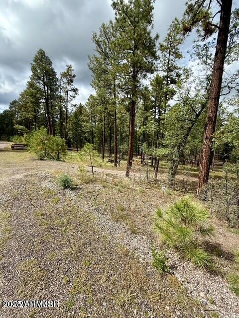 ALPINE FOREST ESTATES - Land