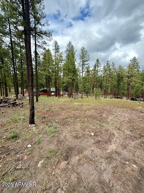 ALPINE FOREST ESTATES - Land
