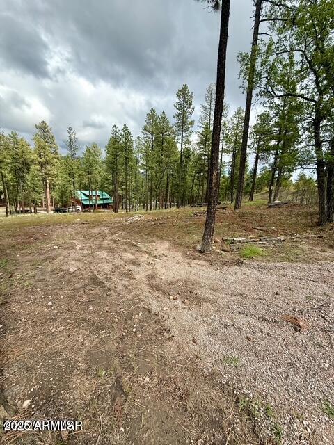 ALPINE FOREST ESTATES - Land