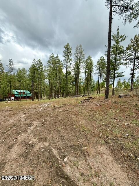 ALPINE FOREST ESTATES - Land