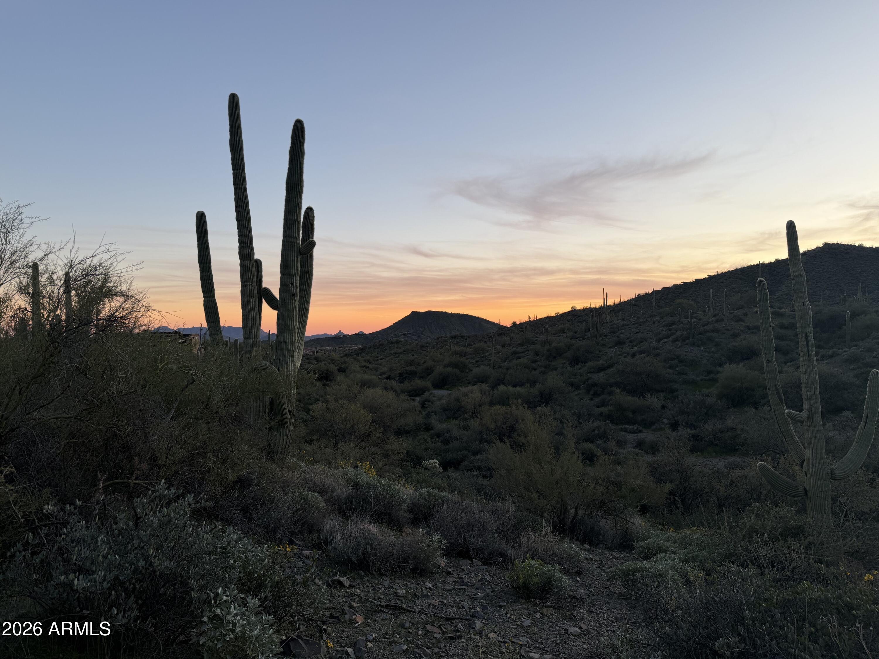 DESERT MOUNTAIN - Land