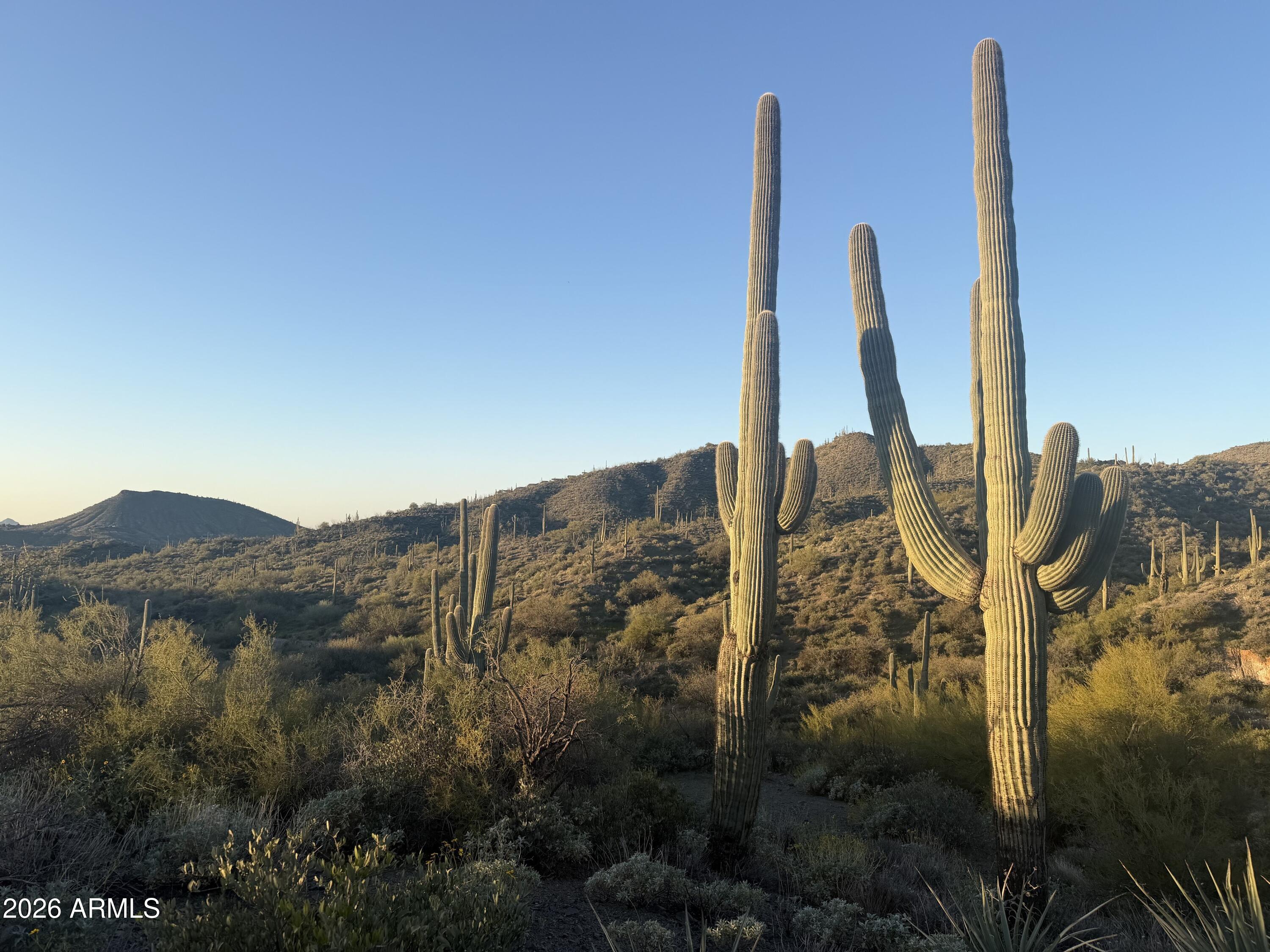 DESERT MOUNTAIN - Land