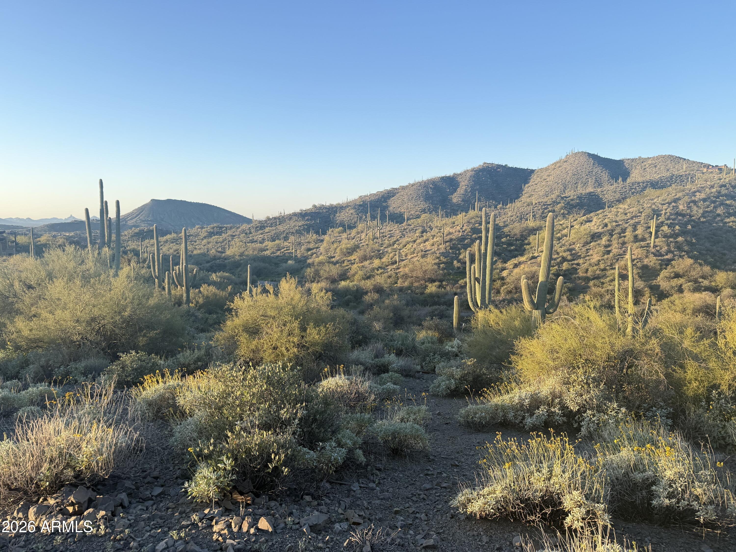 DESERT MOUNTAIN - Land
