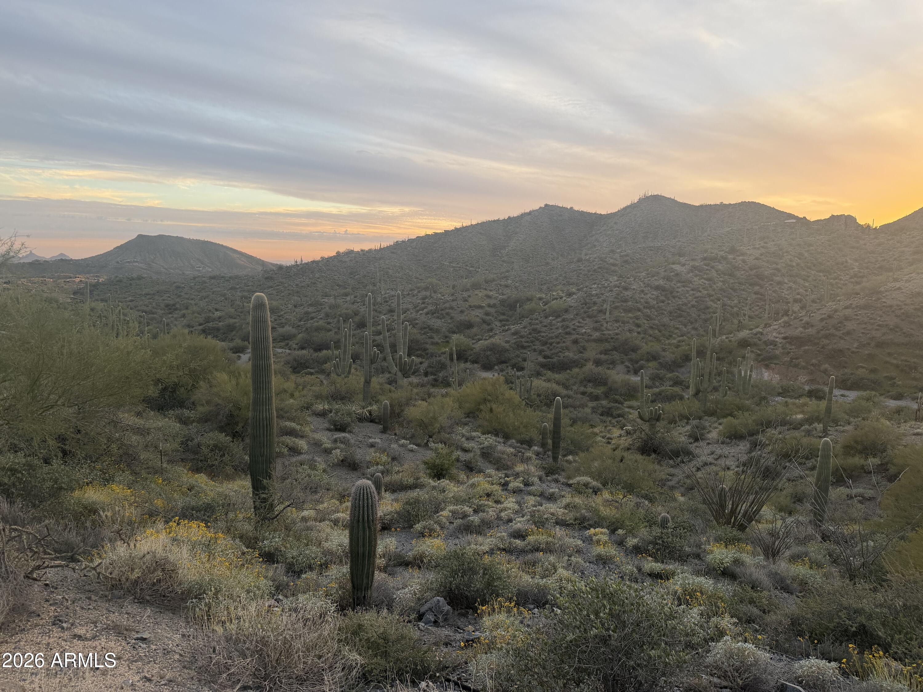 DESERT MOUNTAIN - Land