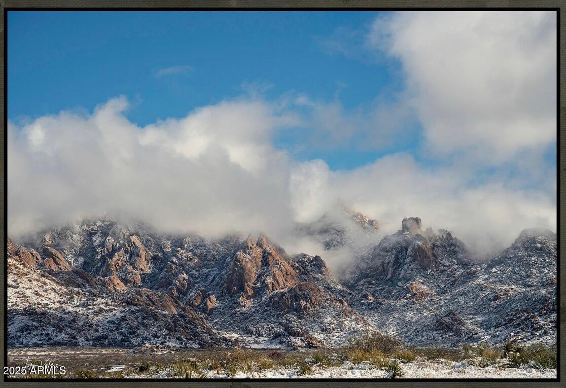 Dragoon Mountain Ranch Unit 3 - Land