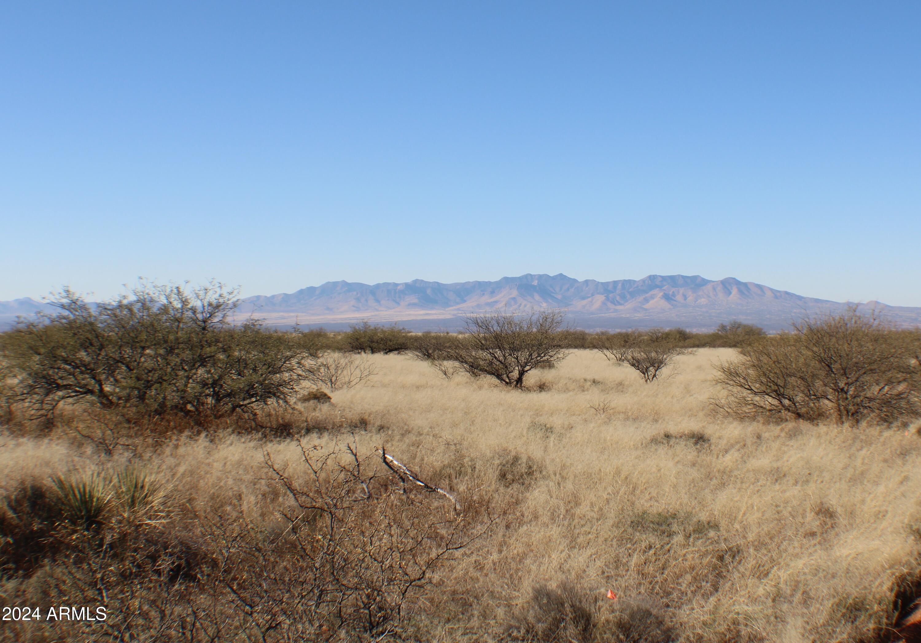 Dragoon Mountain Ranch Unit 3 - Land