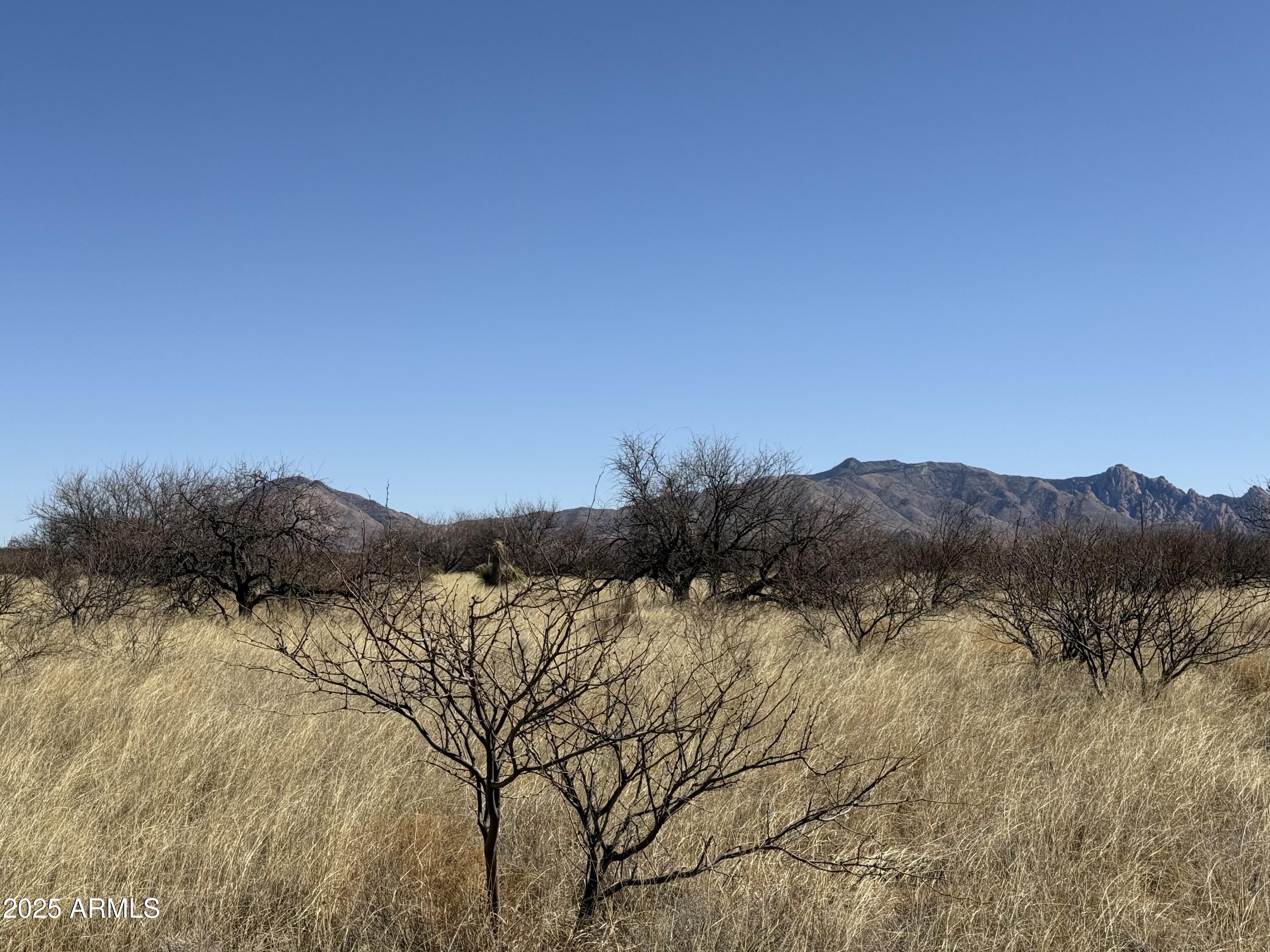 PALOMINAS RANCHES UNIT 1 - Land