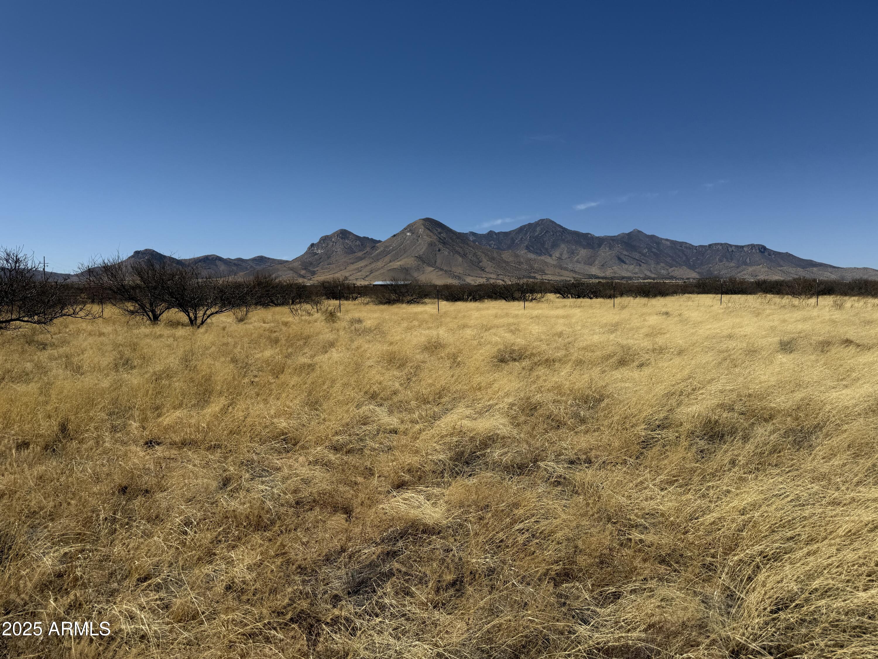 PALOMINAS RANCHES UNIT 1 - Land