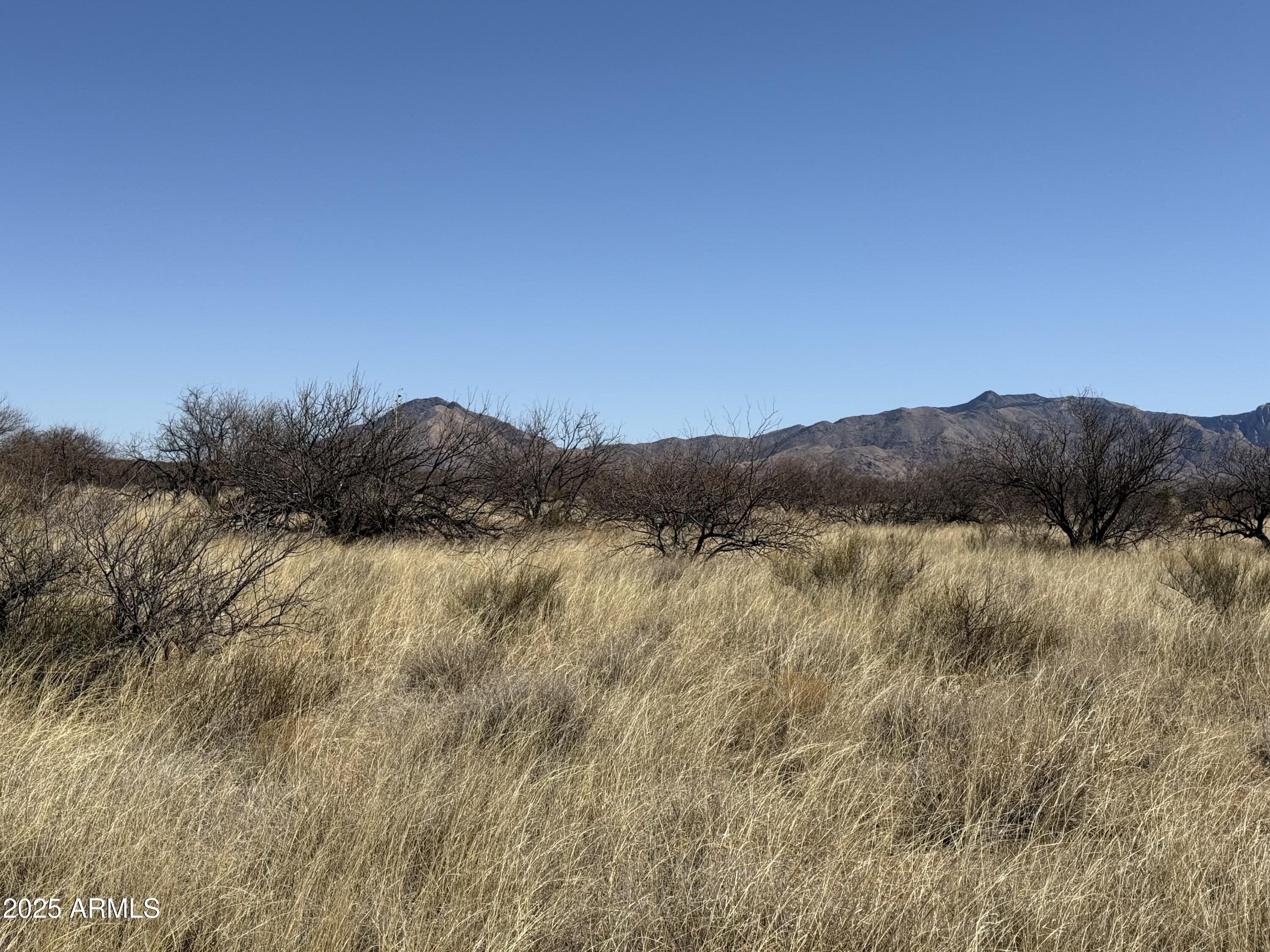 PALOMINAS RANCHES UNIT 1 - Land