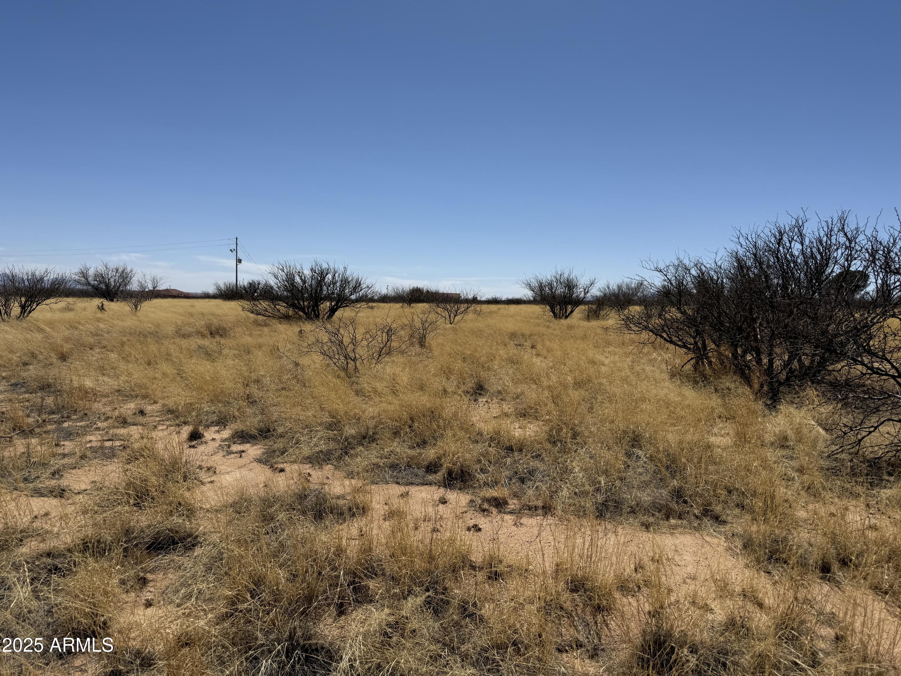 PALOMINAS RANCHES UNIT 1 - Land