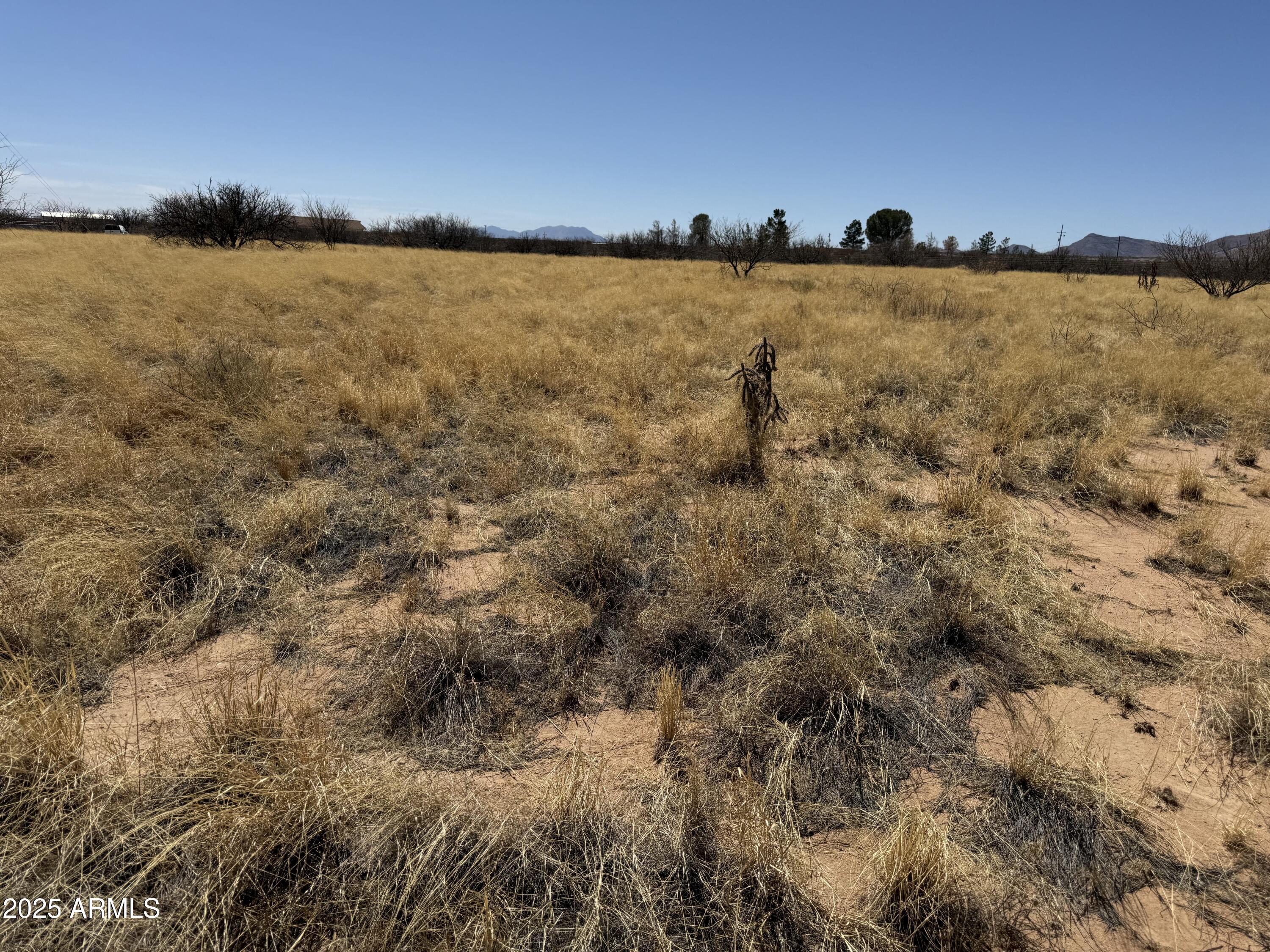 PALOMINAS RANCHES UNIT 1 - Land