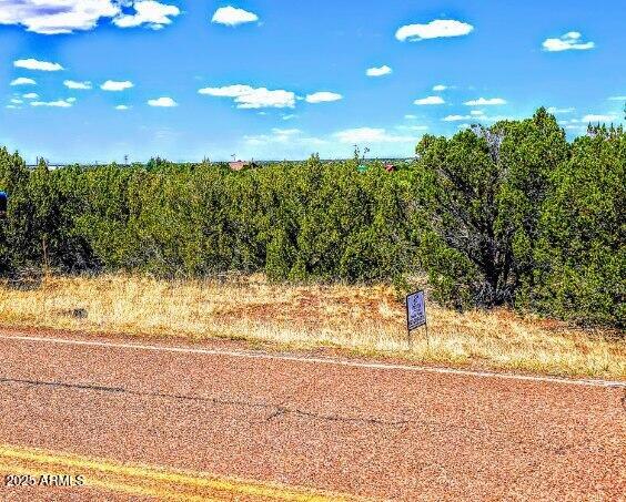 WHITE MOUNTAIN LAKES UNIT 11 - Land