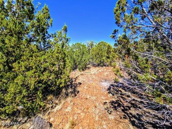 WHITE MOUNTAIN LAKES UNIT 11 - Land