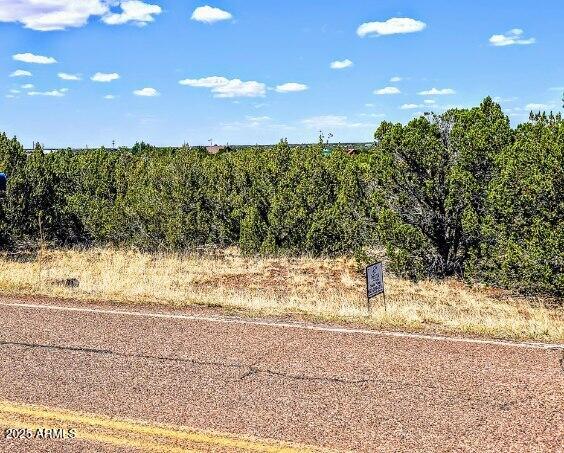 WHITE MOUNTAIN LAKES UNIT 11 - Land