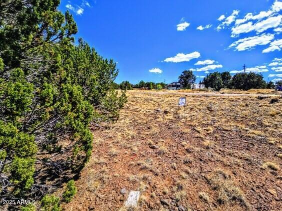 WHITE MOUNTAIN LAKES UNIT 11 - Land