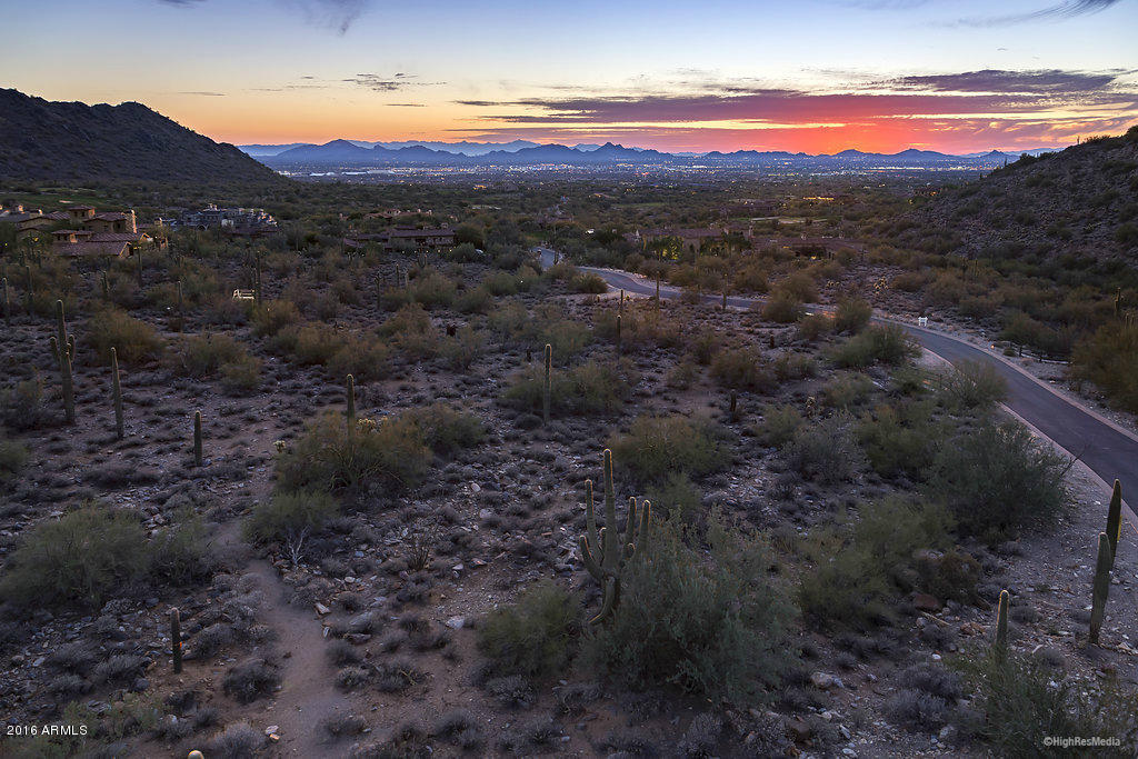 Silverleaf - Land