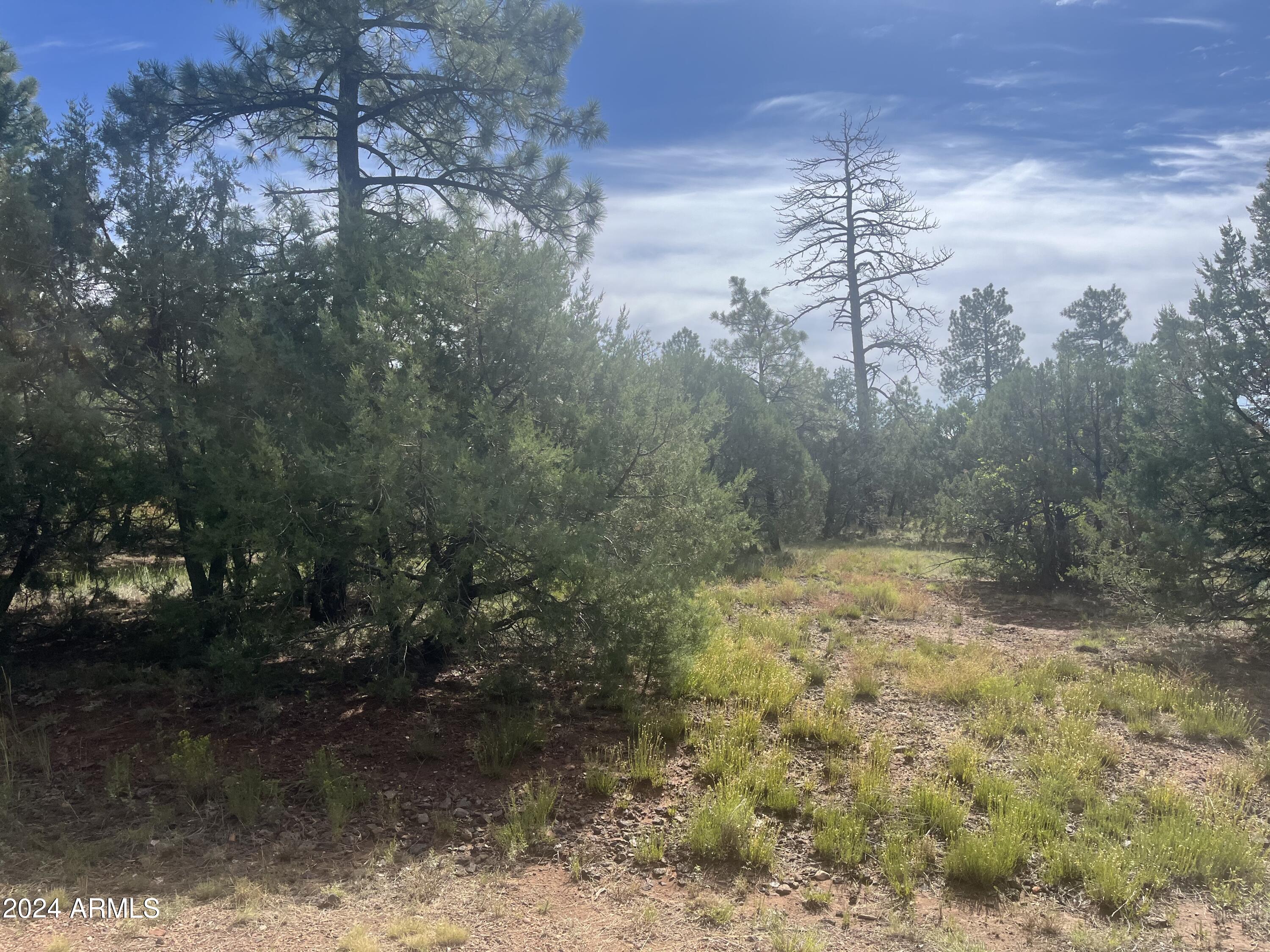 Beautiful wooded lot in the cool White Mountains to build your dream home or bring in a new manufactured home. Walk to Show Low Lake.