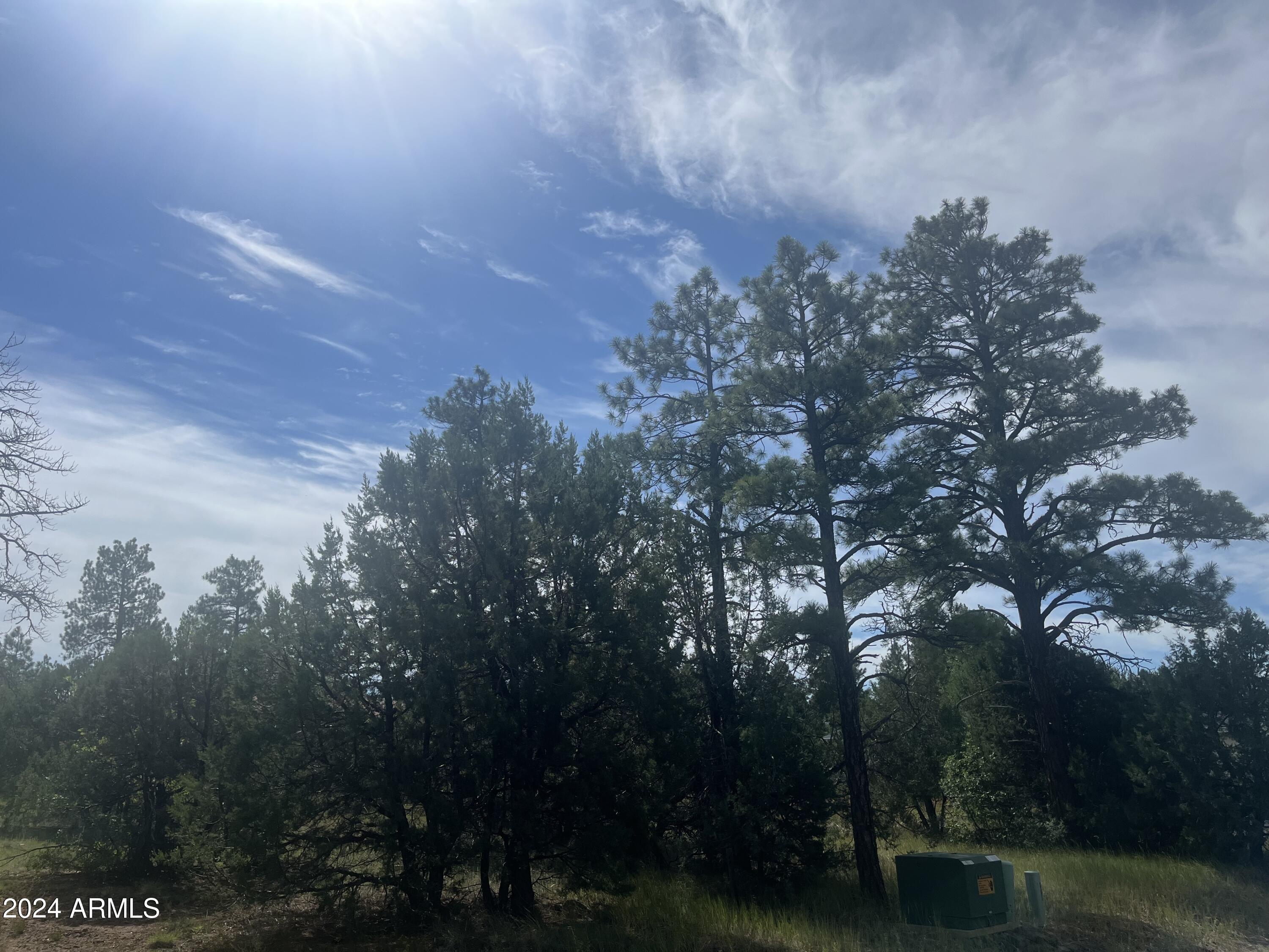 WOLF PINES UNIT 2 - Land