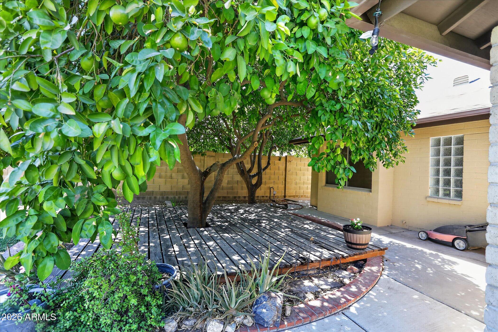 SPYGLASS - Residential