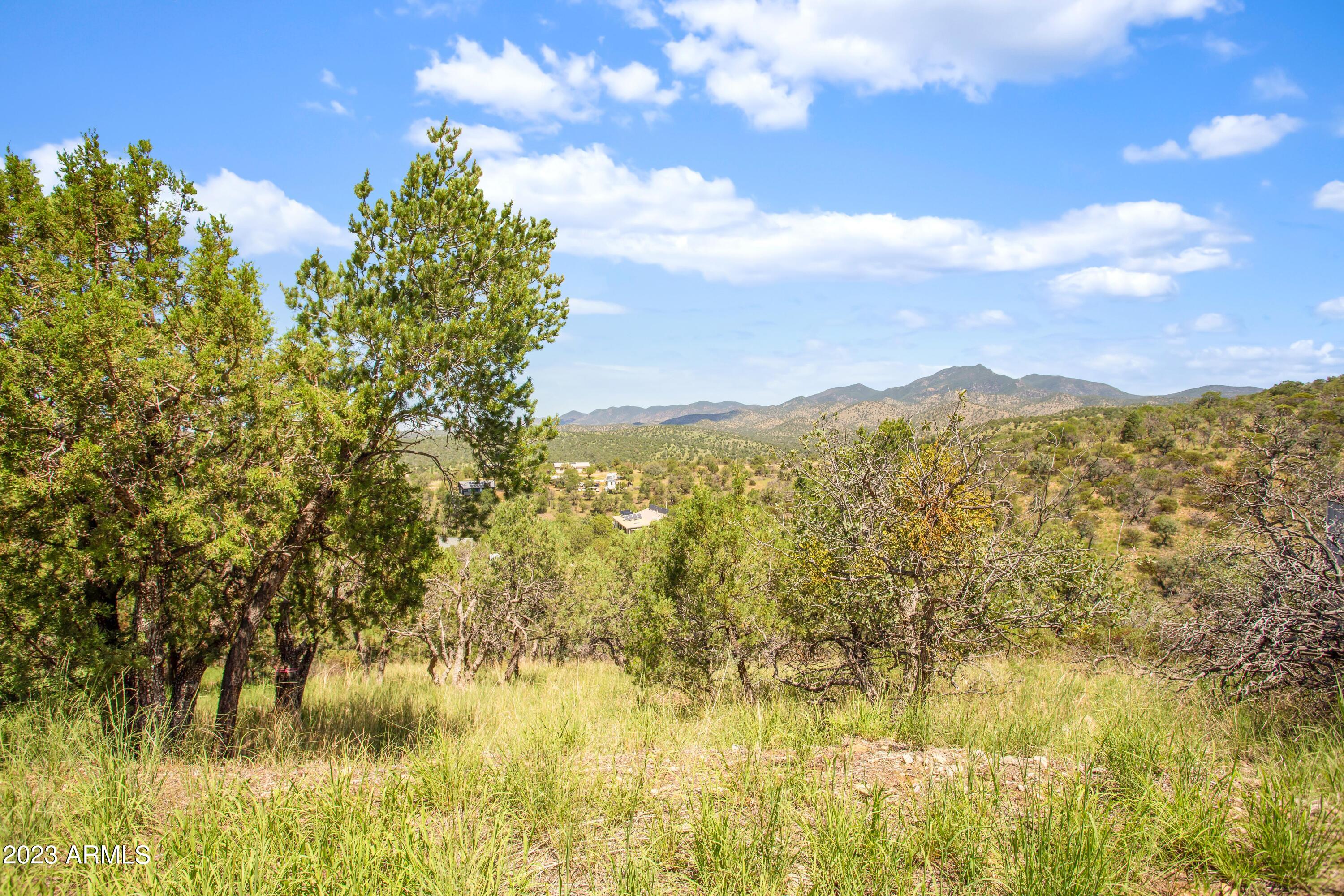Looking for a serene and quiet location off of the beaten path to build your dream vacation home or even live full time? This lot is the one for you, it is a ''double'' lot around a quarter of an acre.  With the right plans you could have lake views from here! Come fall in love with the beautiful scenery!