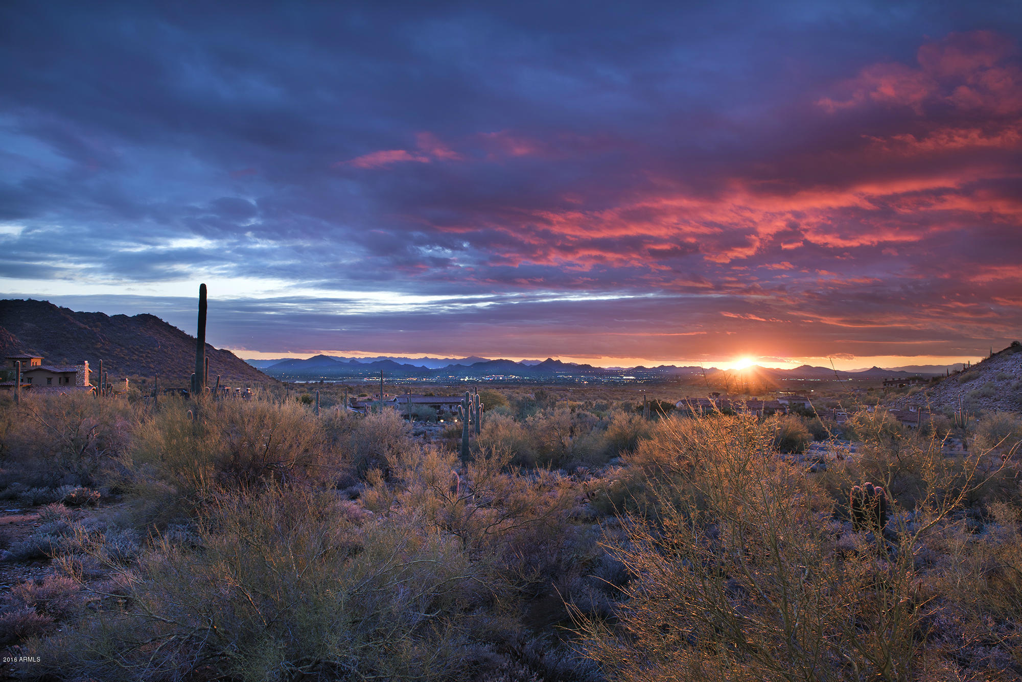 Silverleaf - Land