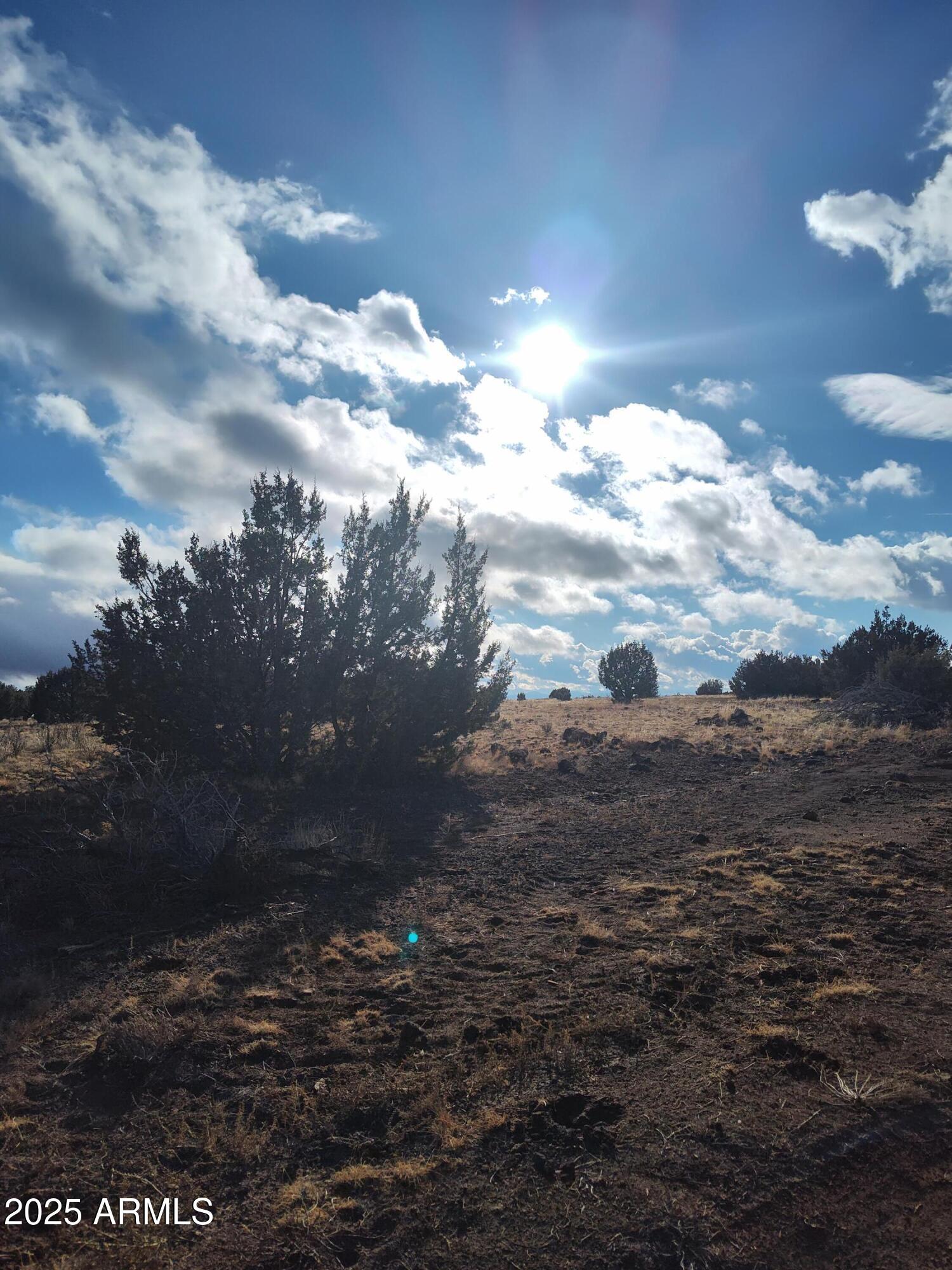 ANTELOPE VALLEY RANCH - Land