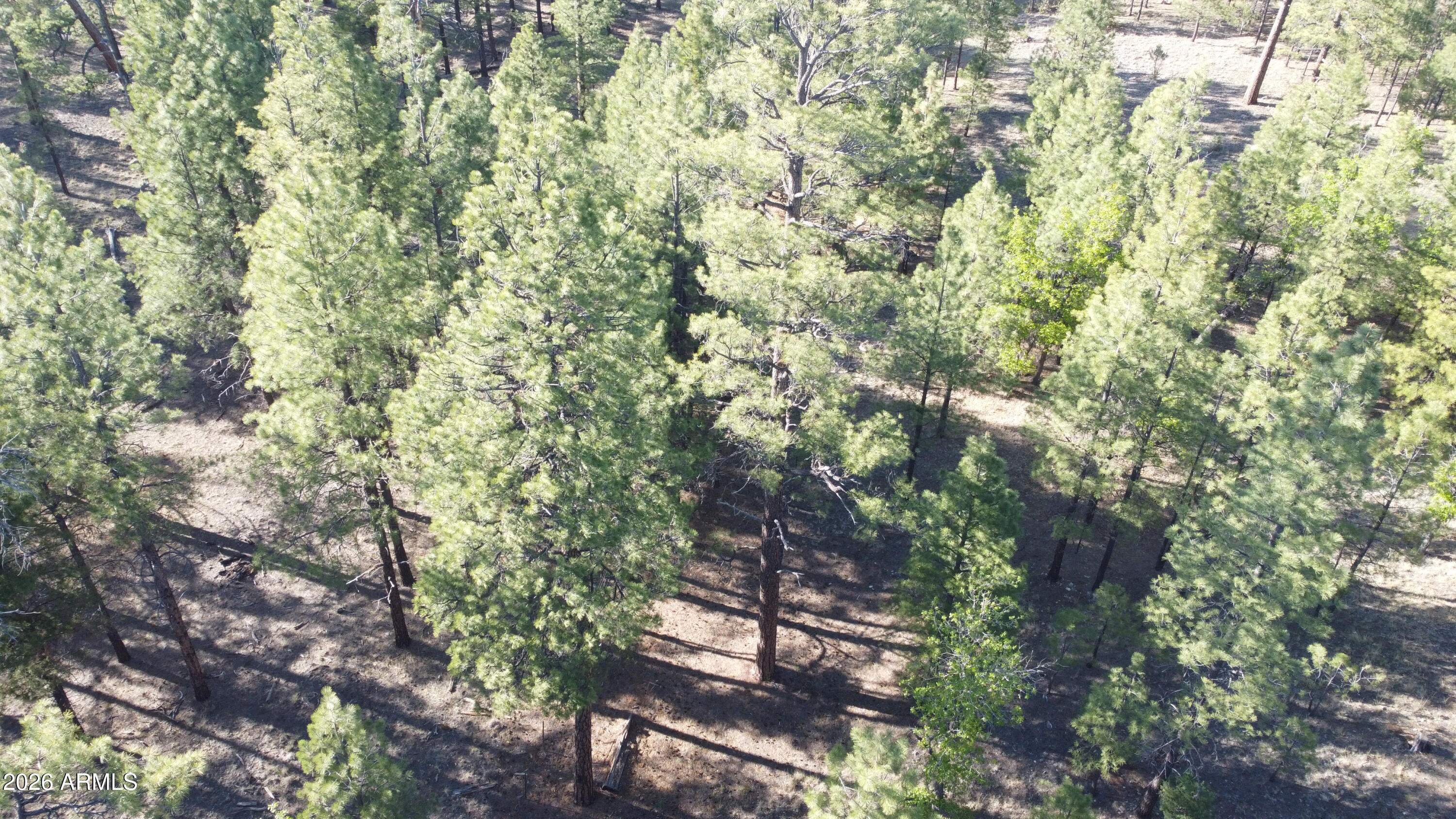 STARLIGHT PINES 4 PHASE 3 - Land